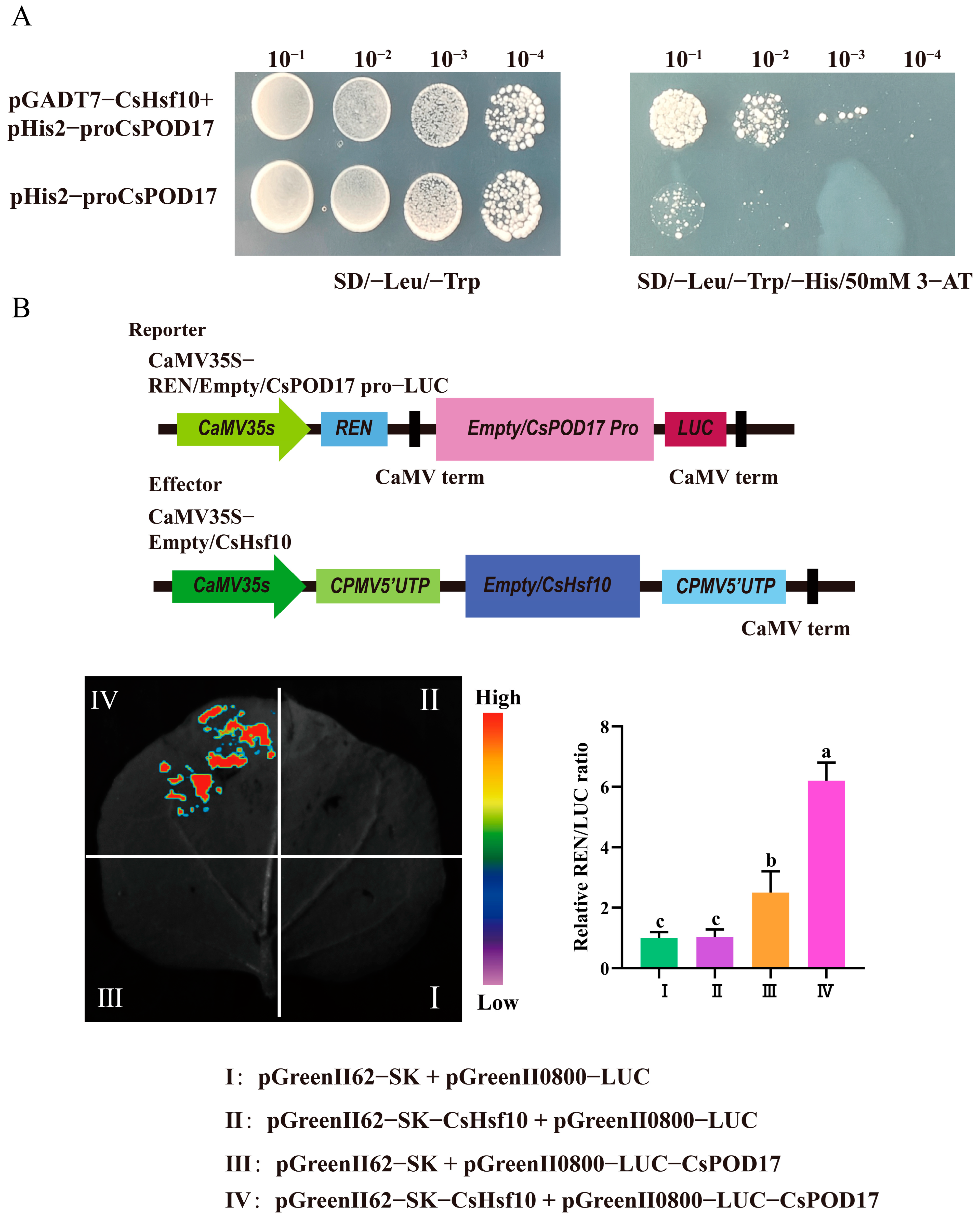 Horticulturae 11 00373 g005