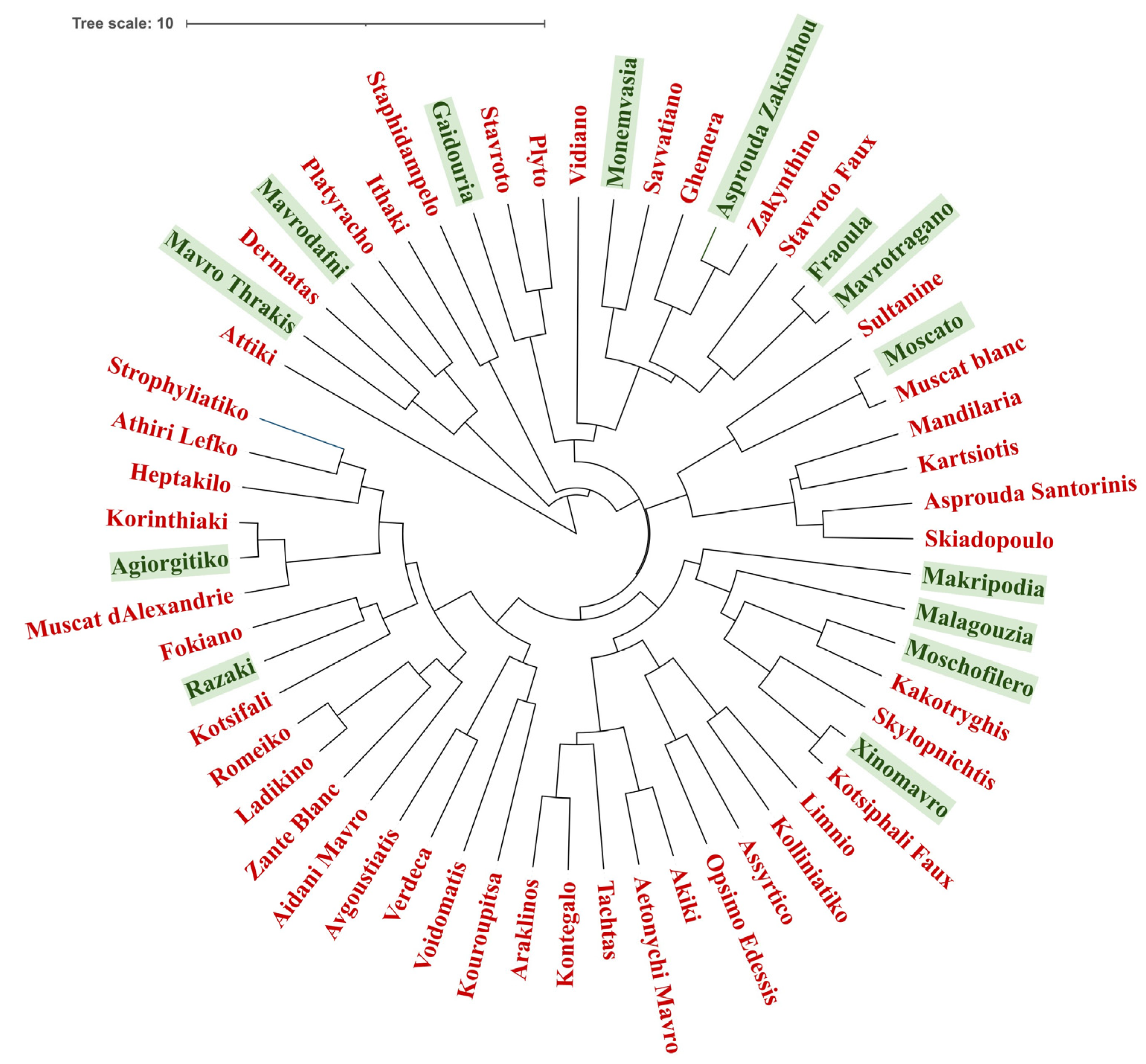 Horticulturae 11 00375 g002