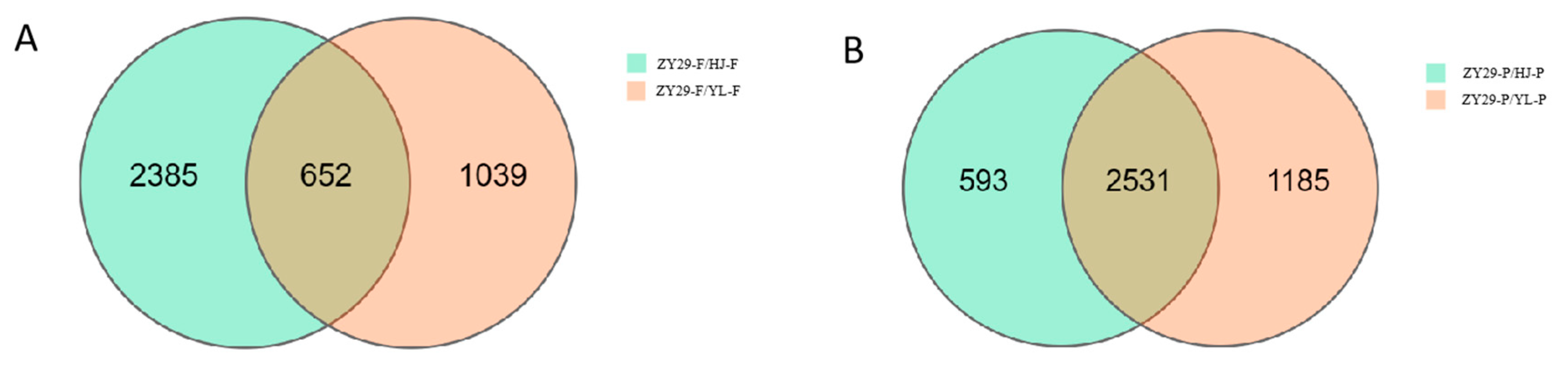 Horticulturae 11 00376 g004