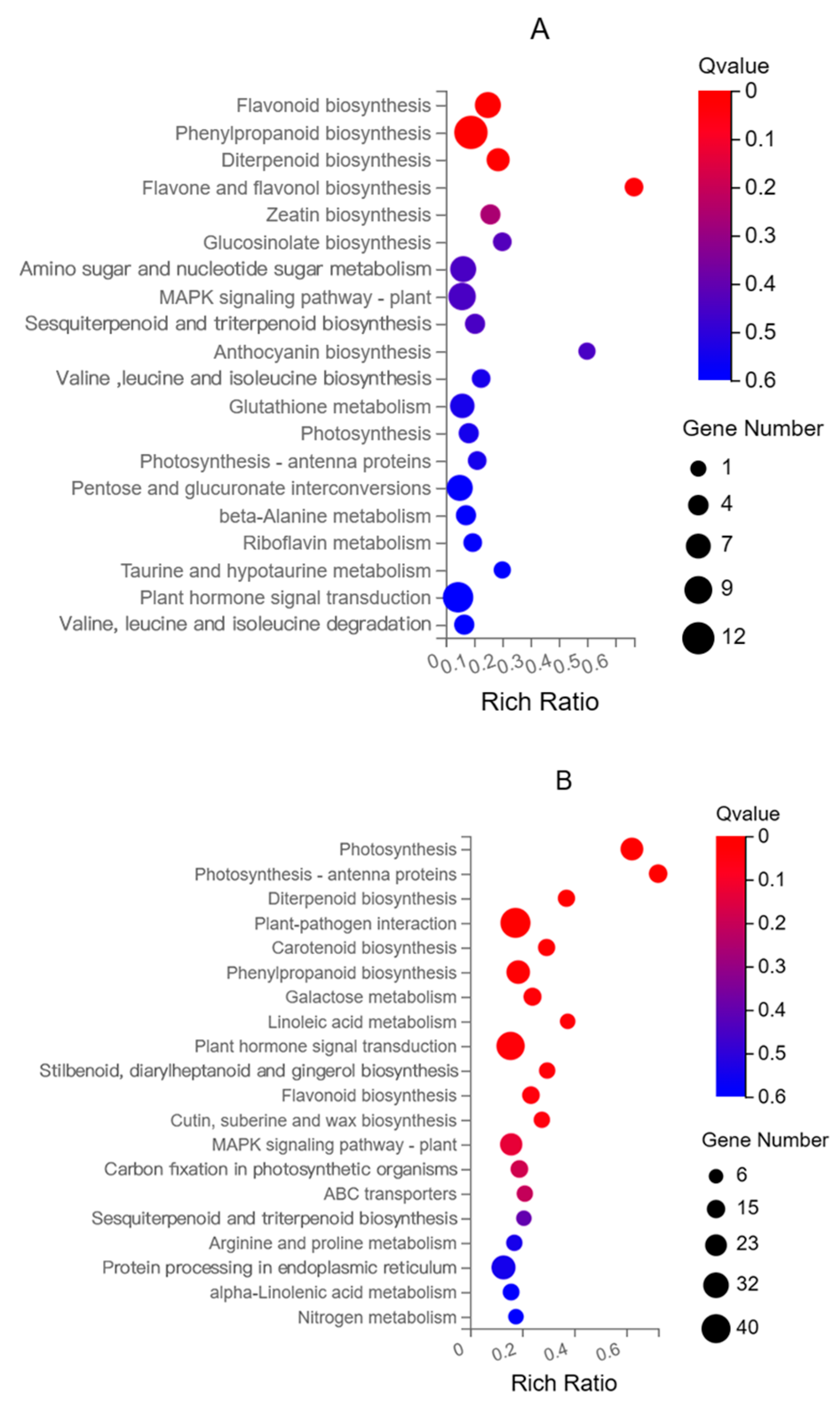 Horticulturae 11 00376 g006