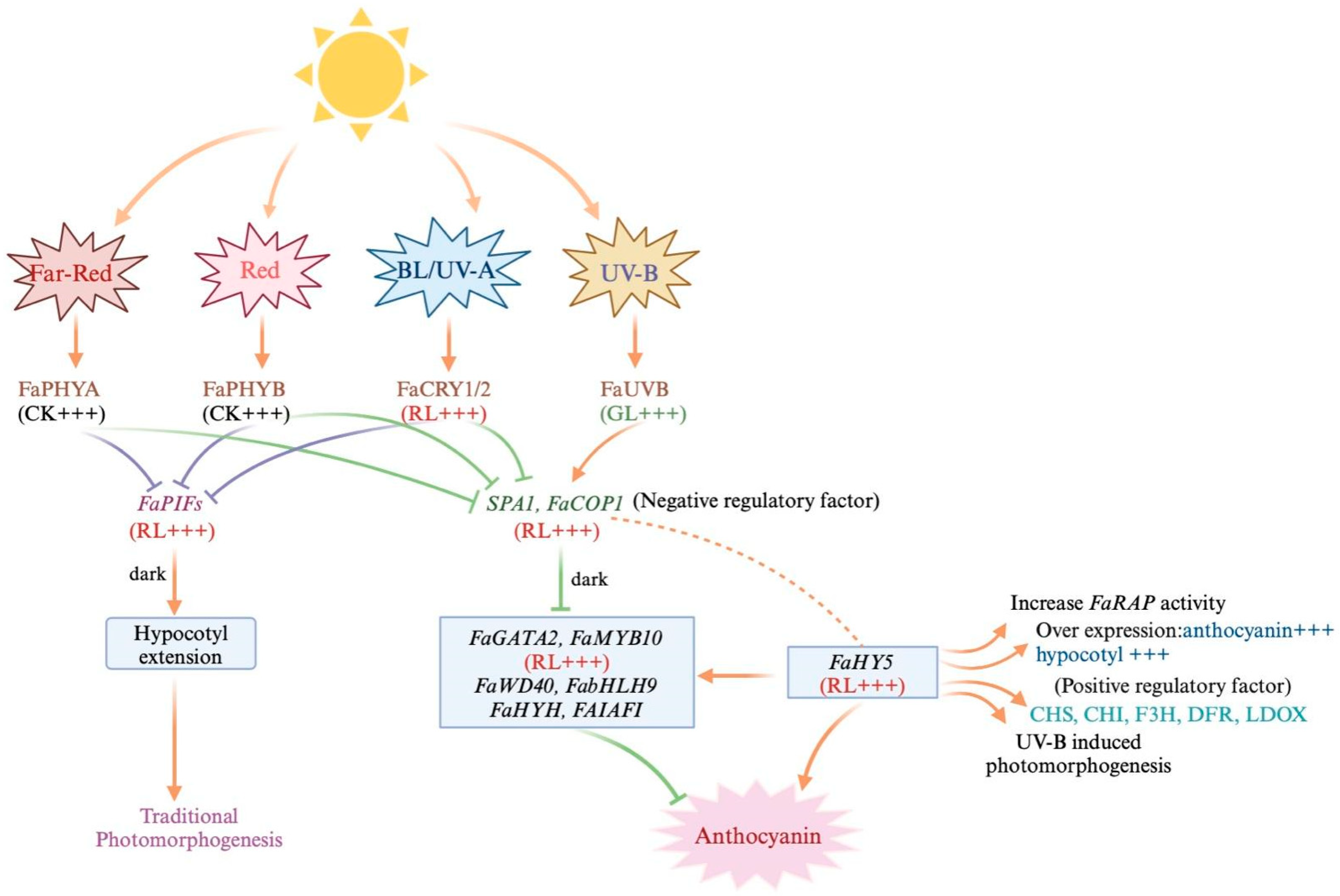 Horticulturae 11 00377 g002