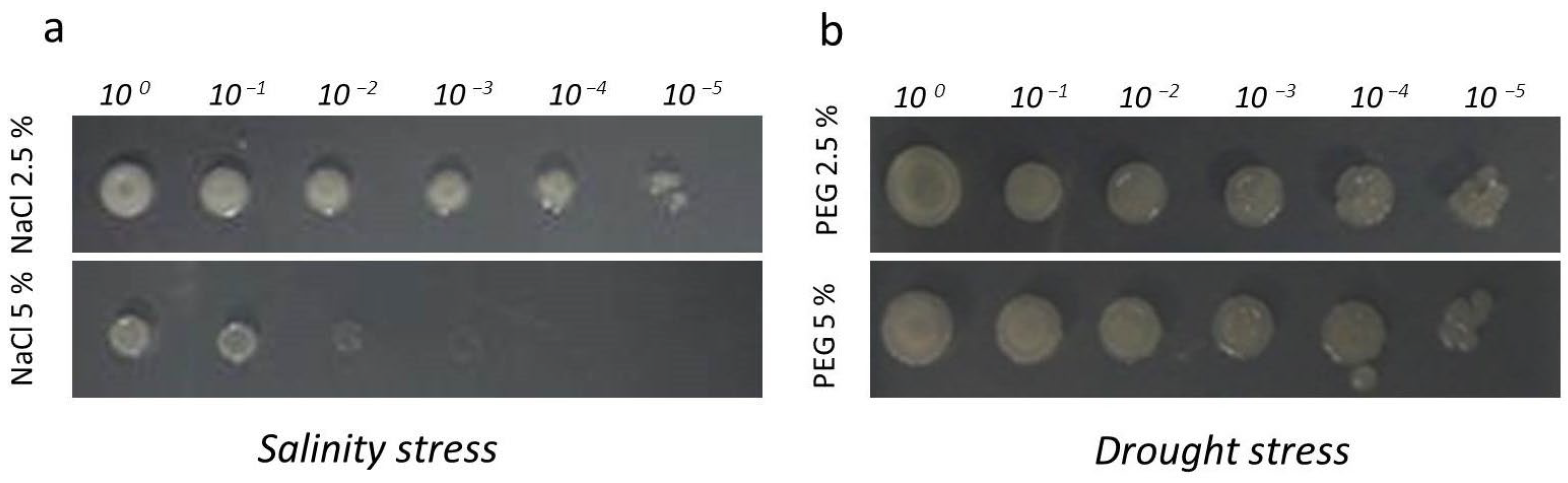 Horticulturae 11 00384 g003