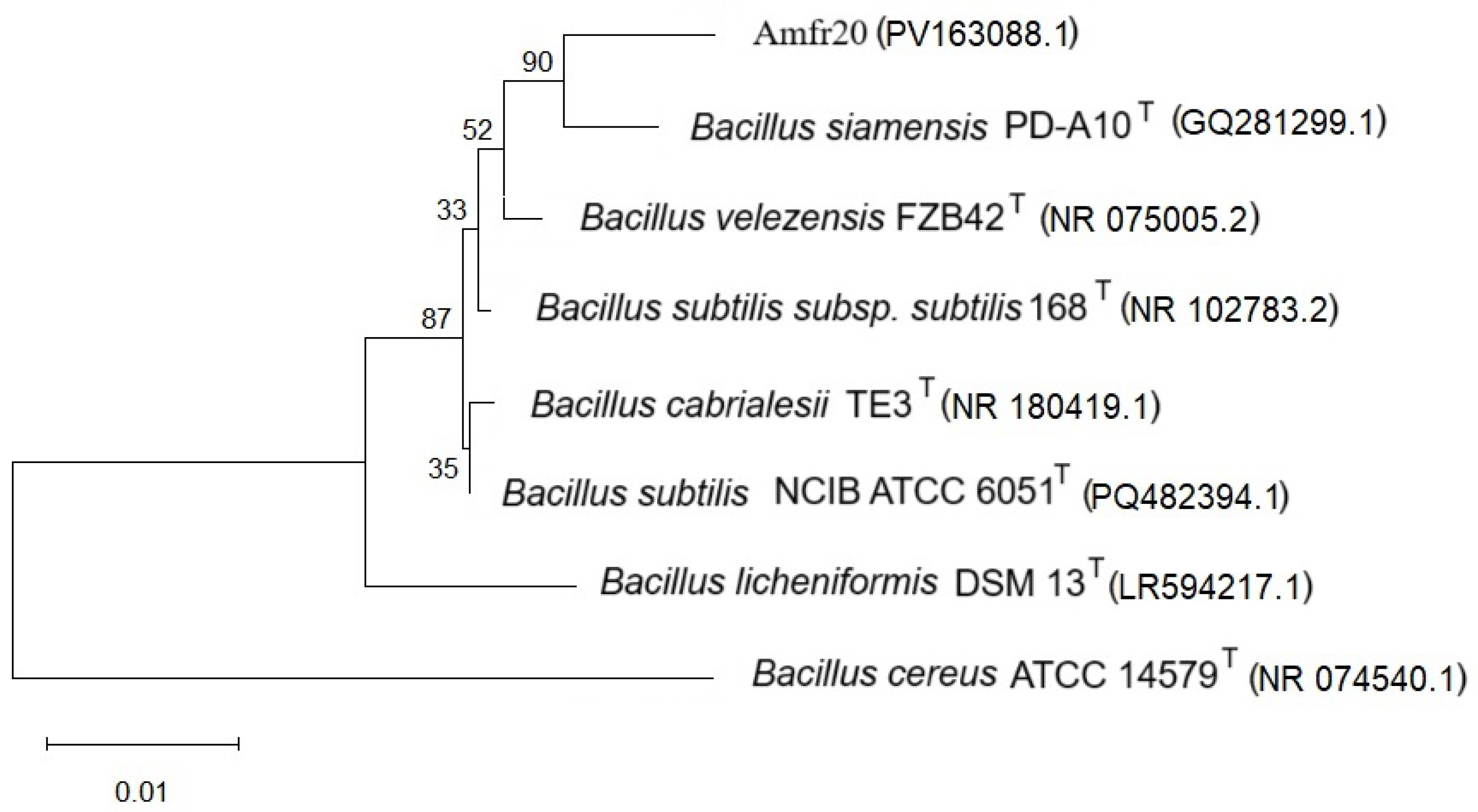 Horticulturae 11 00384 g004