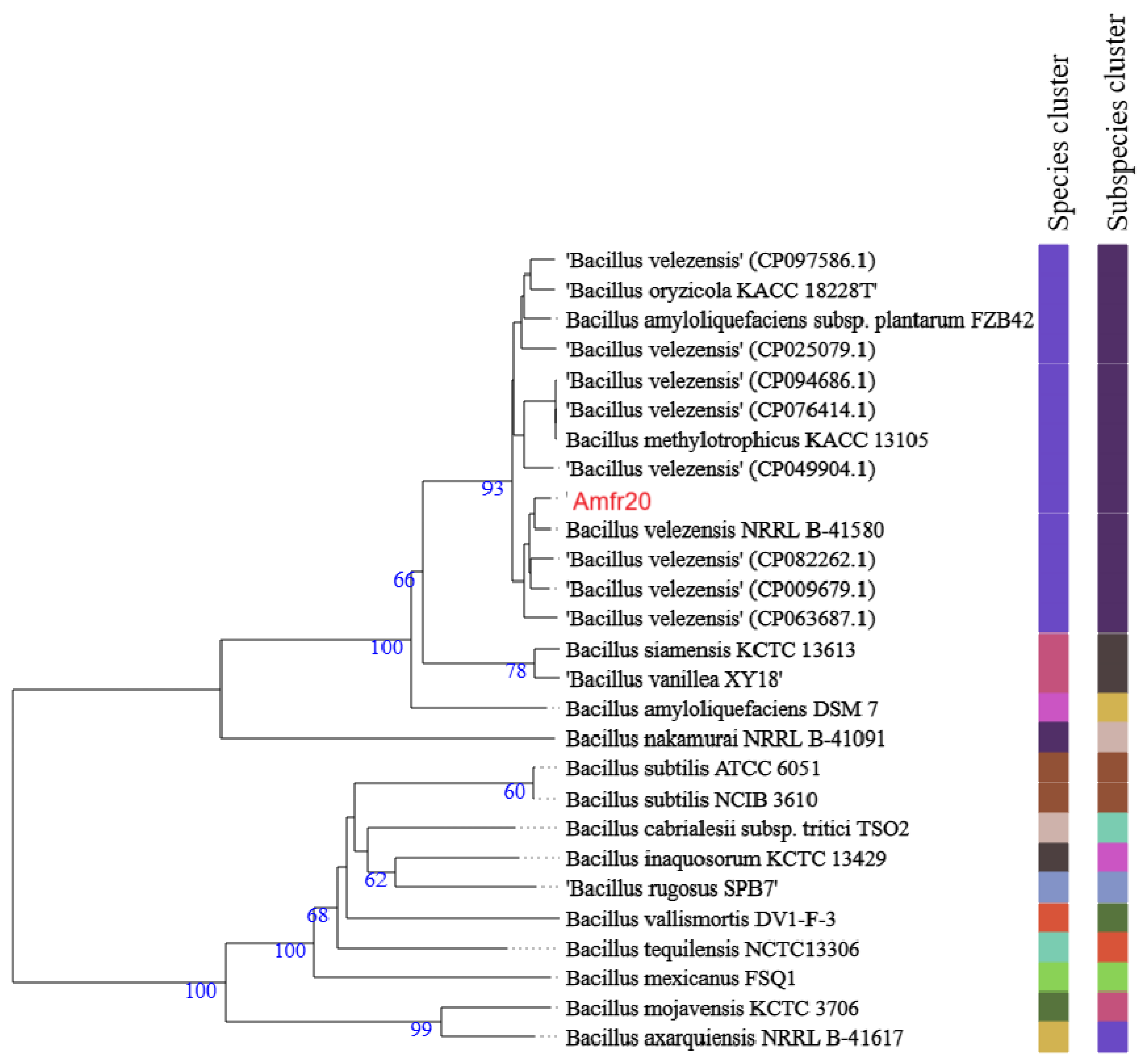Horticulturae 11 00384 g005