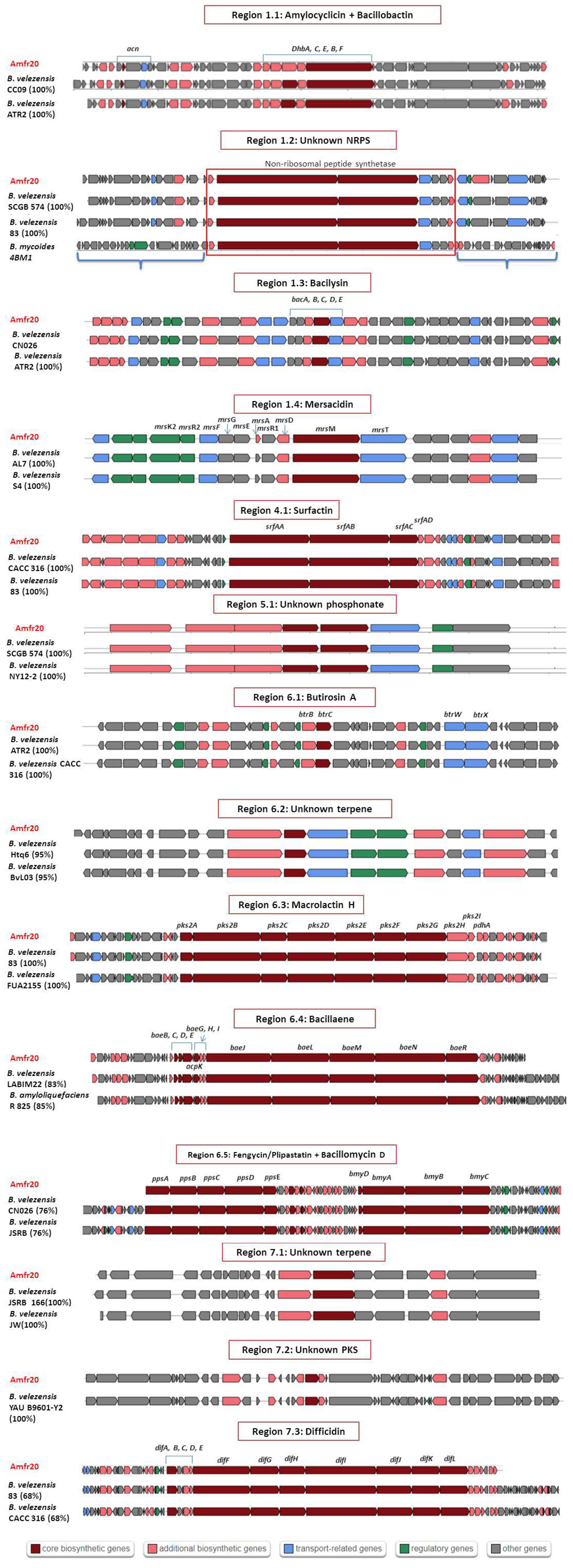 Horticulturae 11 00384 g006