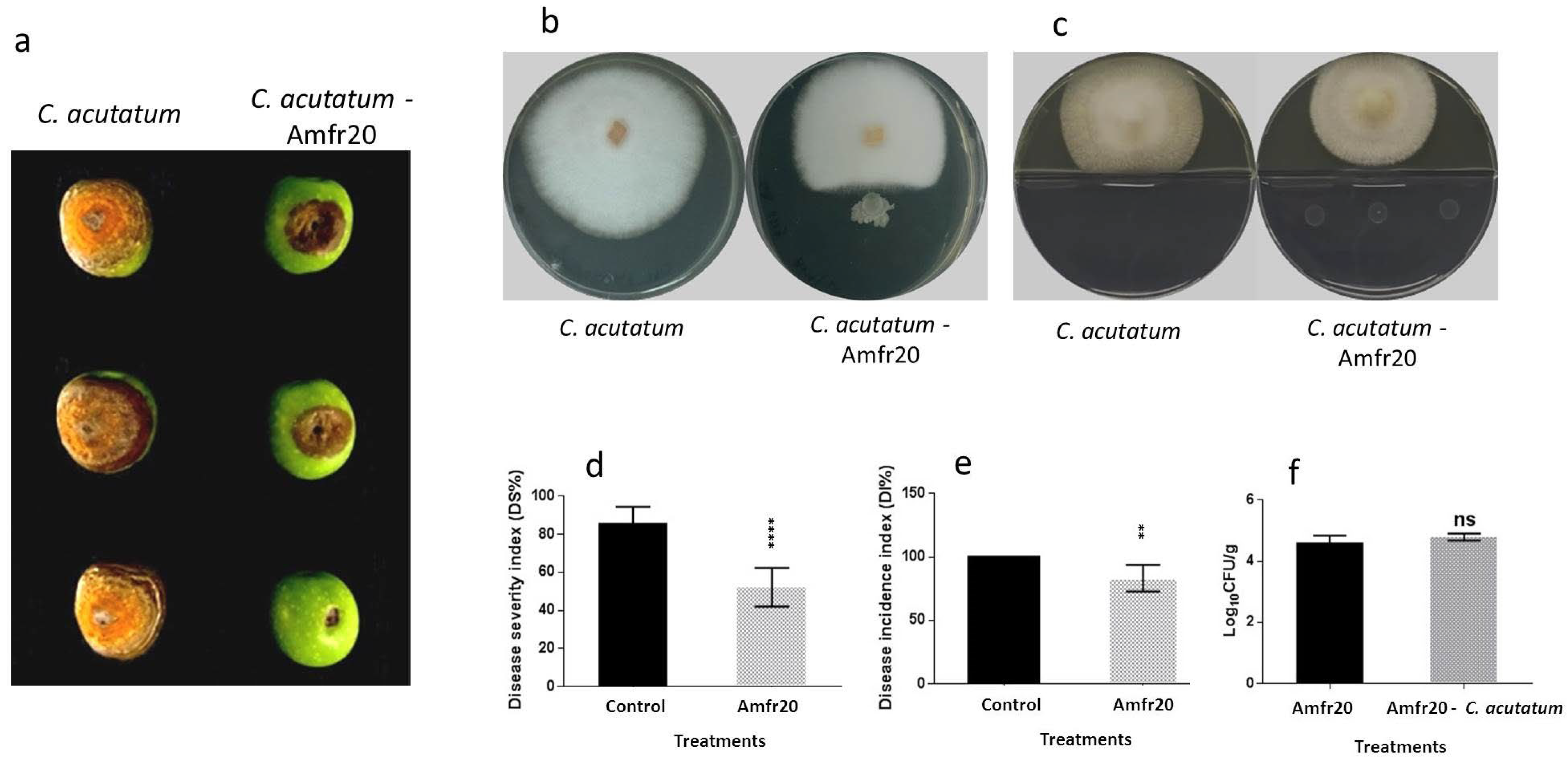 Horticulturae 11 00384 g007
