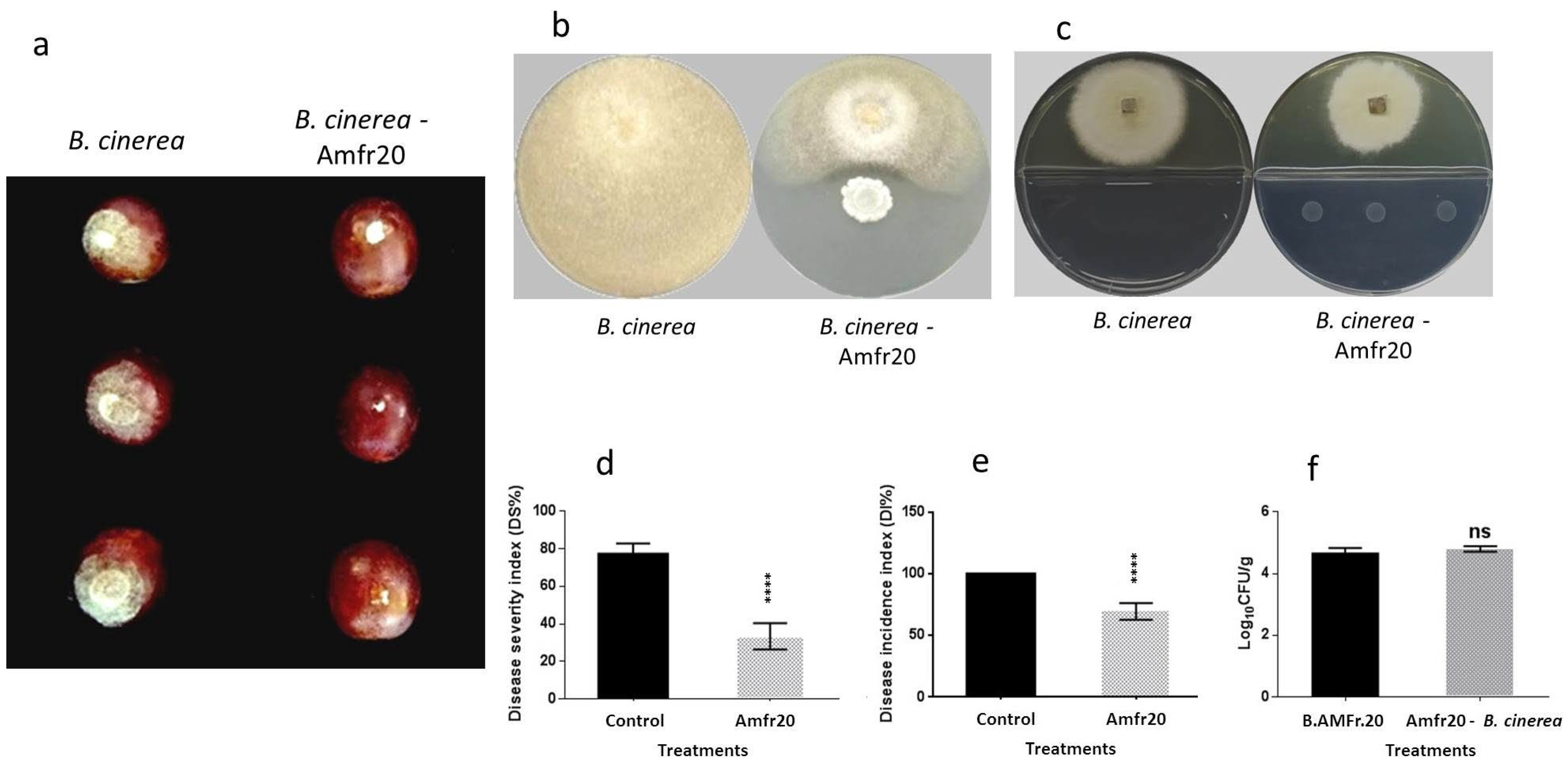Horticulturae 11 00384 g008
