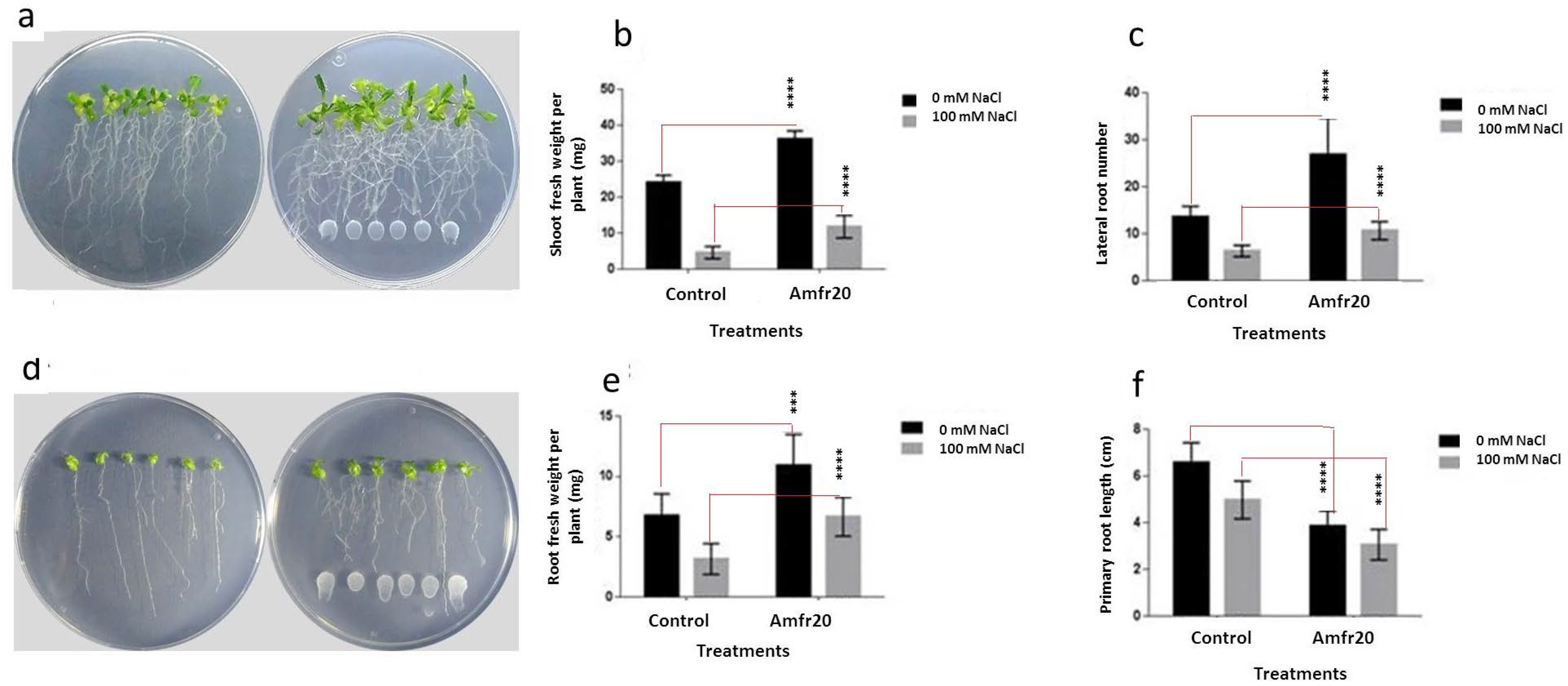 Horticulturae 11 00384 g010