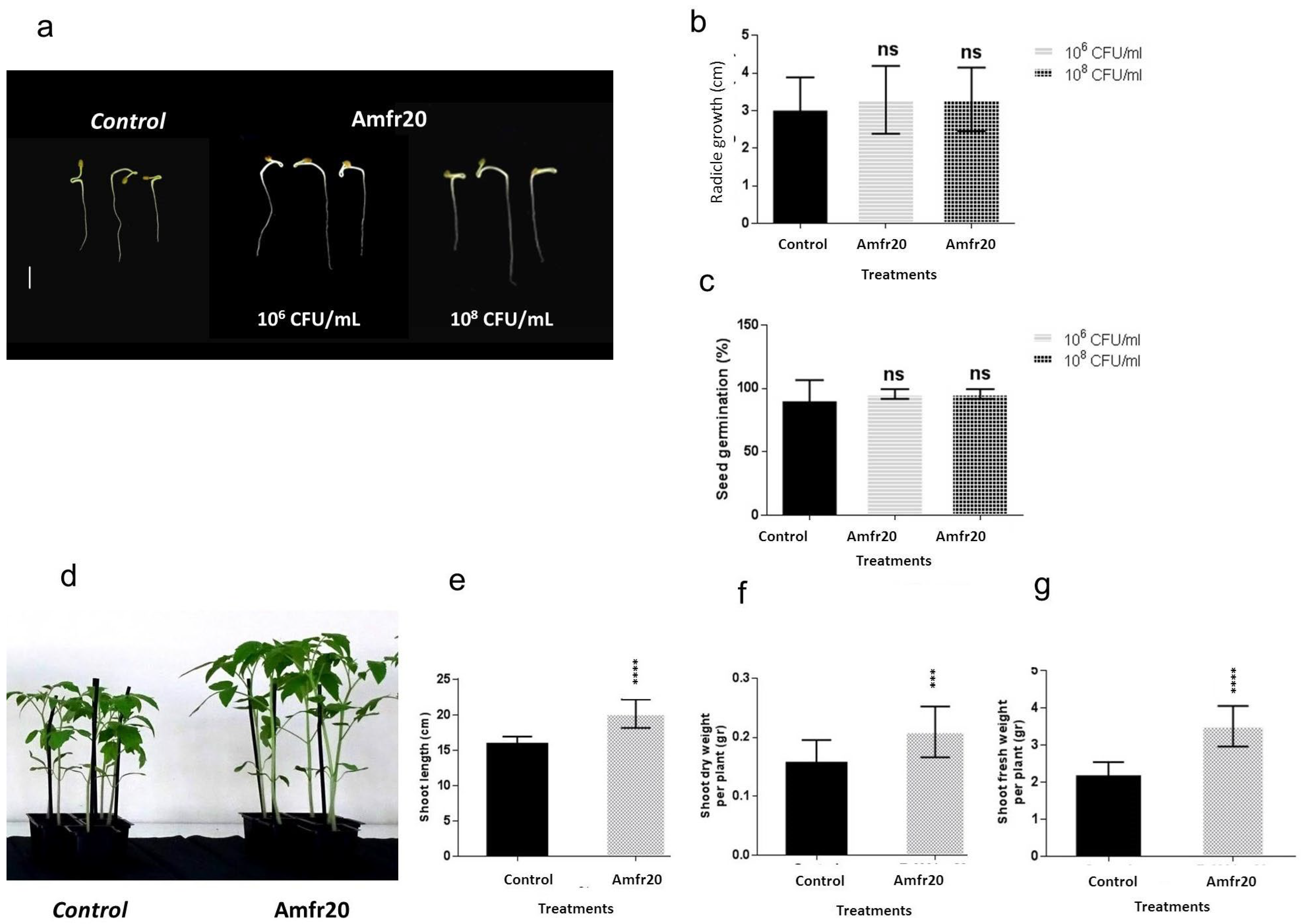 Horticulturae 11 00384 g012