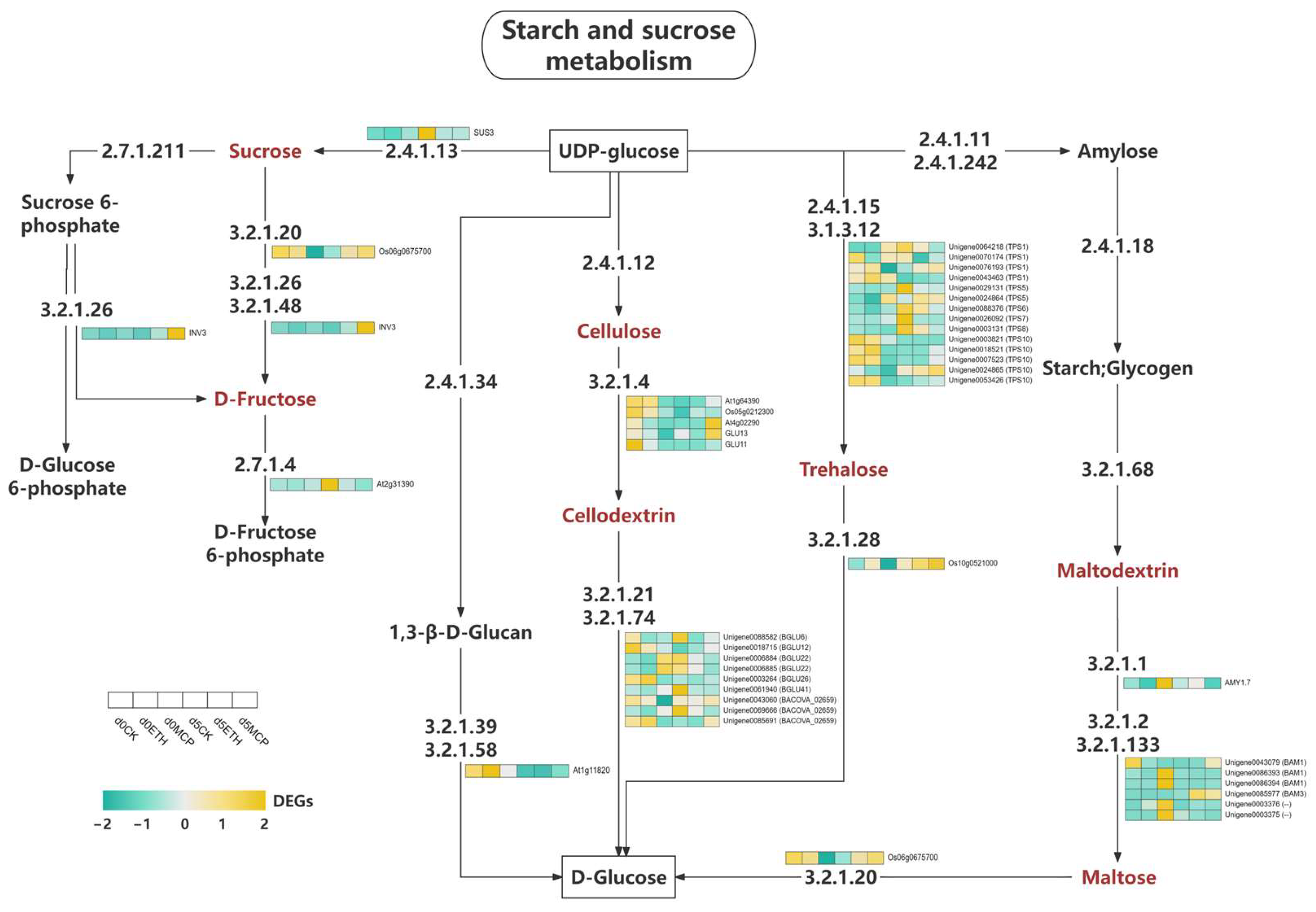 Horticulturae 11 00386 g010