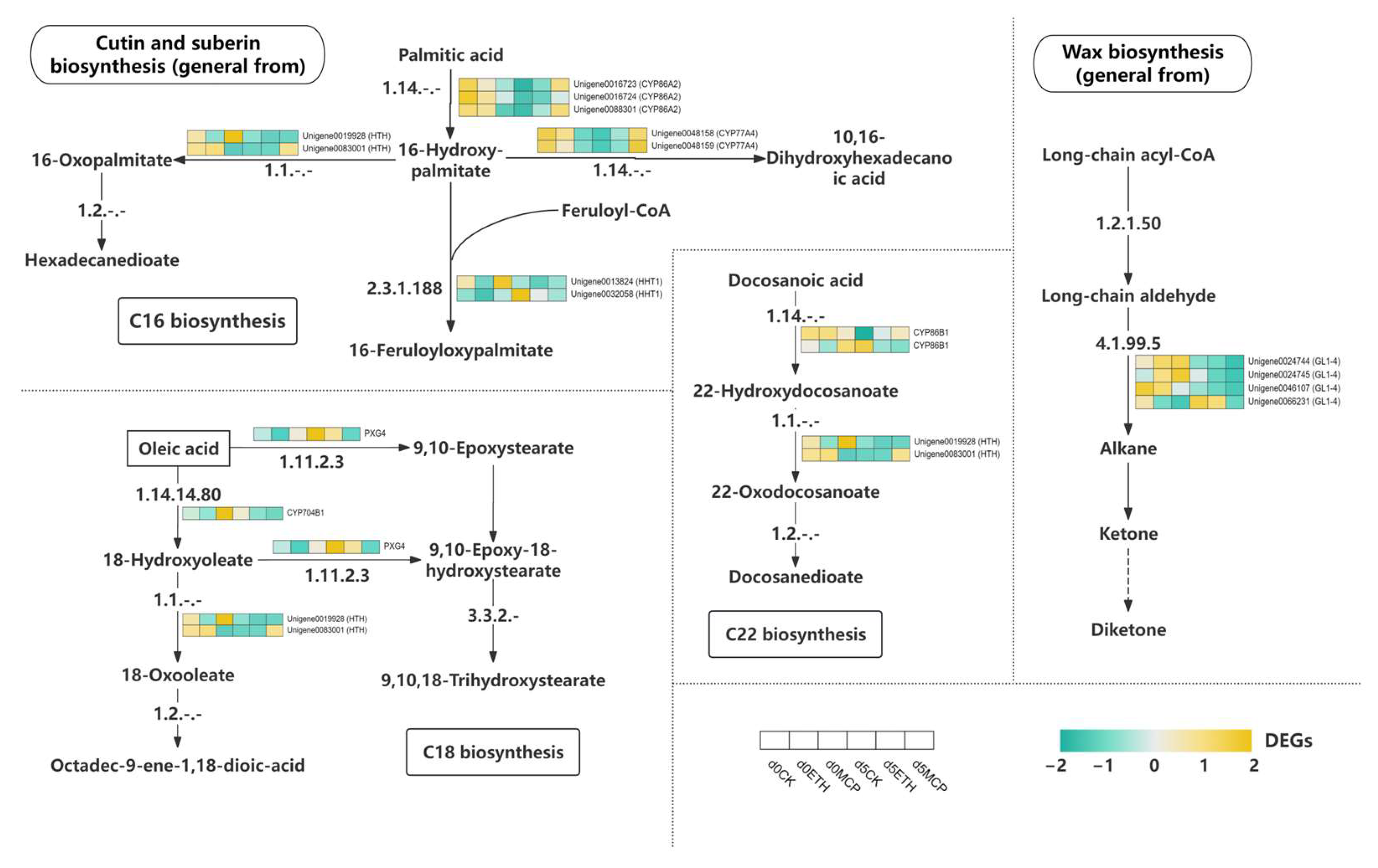 Horticulturae 11 00386 g011