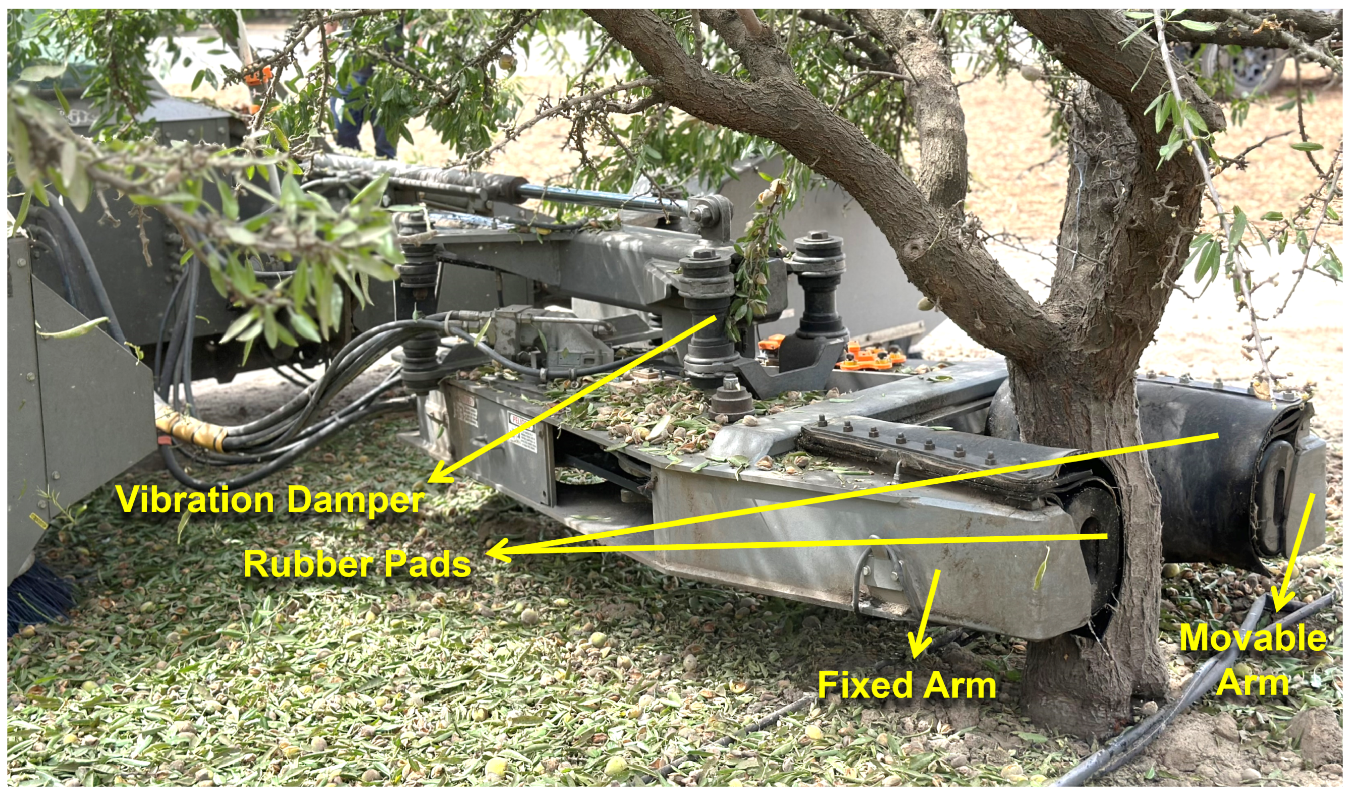 Horticulturae 11 00392 g001