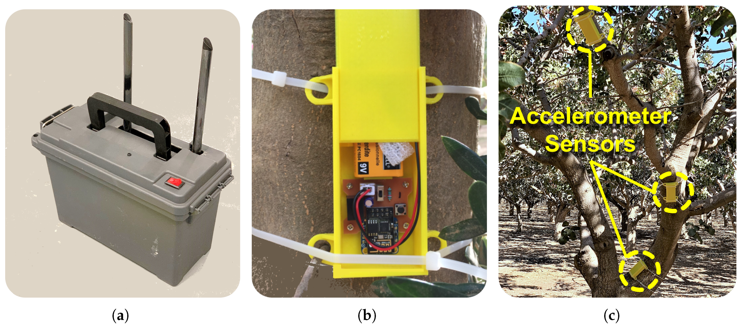 Horticulturae 11 00392 g002