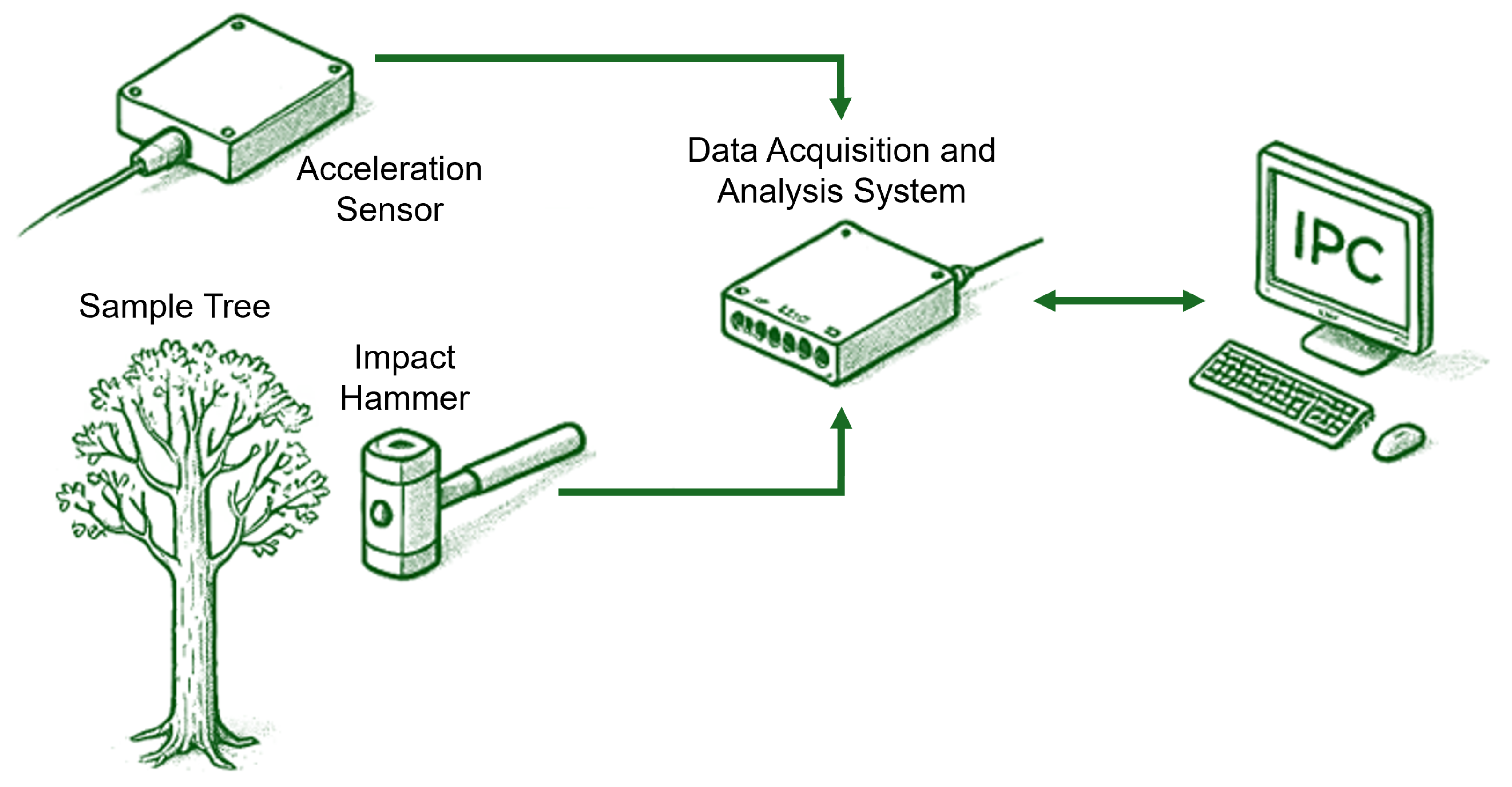 Horticulturae 11 00392 g007