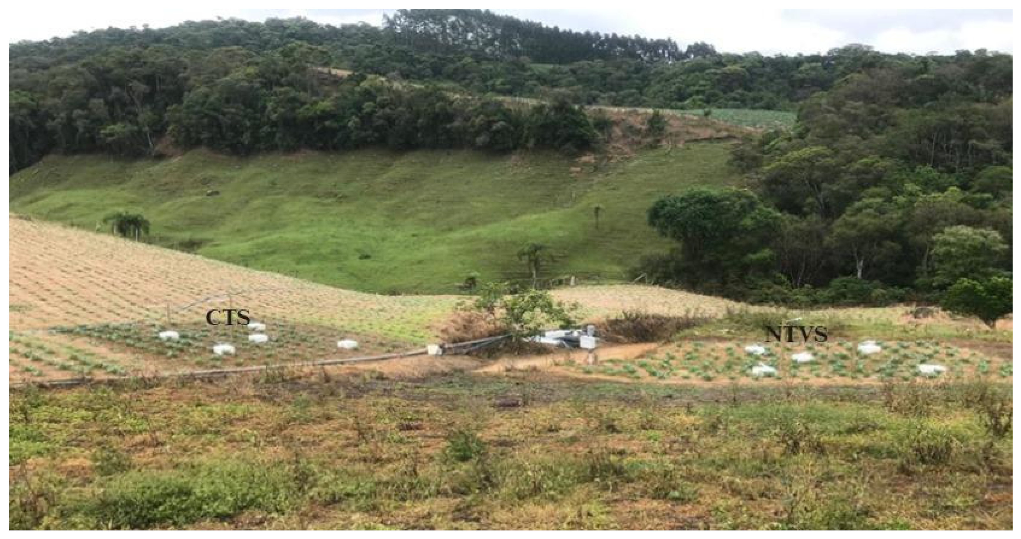 Horticulturae 11 00396 g001 Horticulturae 11 00396 g001