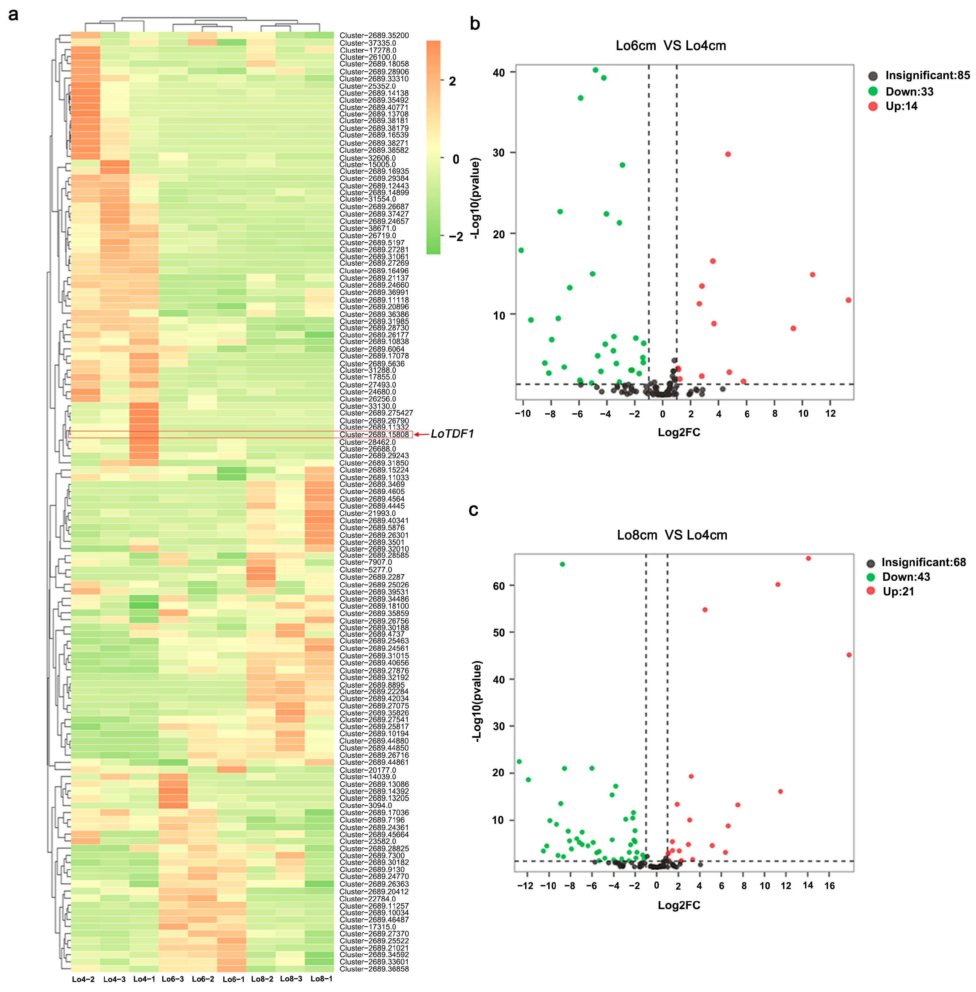 Horticulturae 11 00398 g001