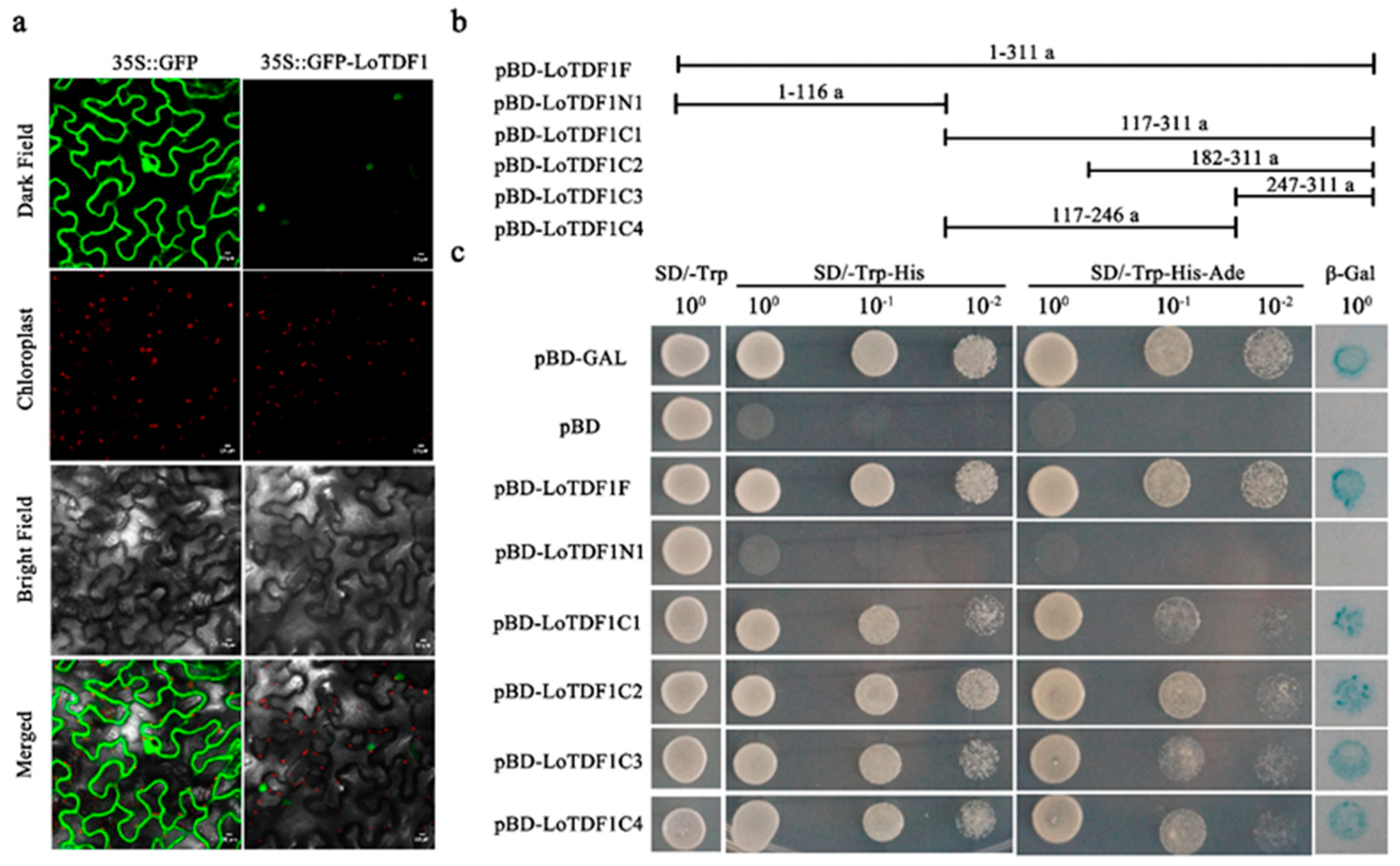 Horticulturae 11 00398 g003
