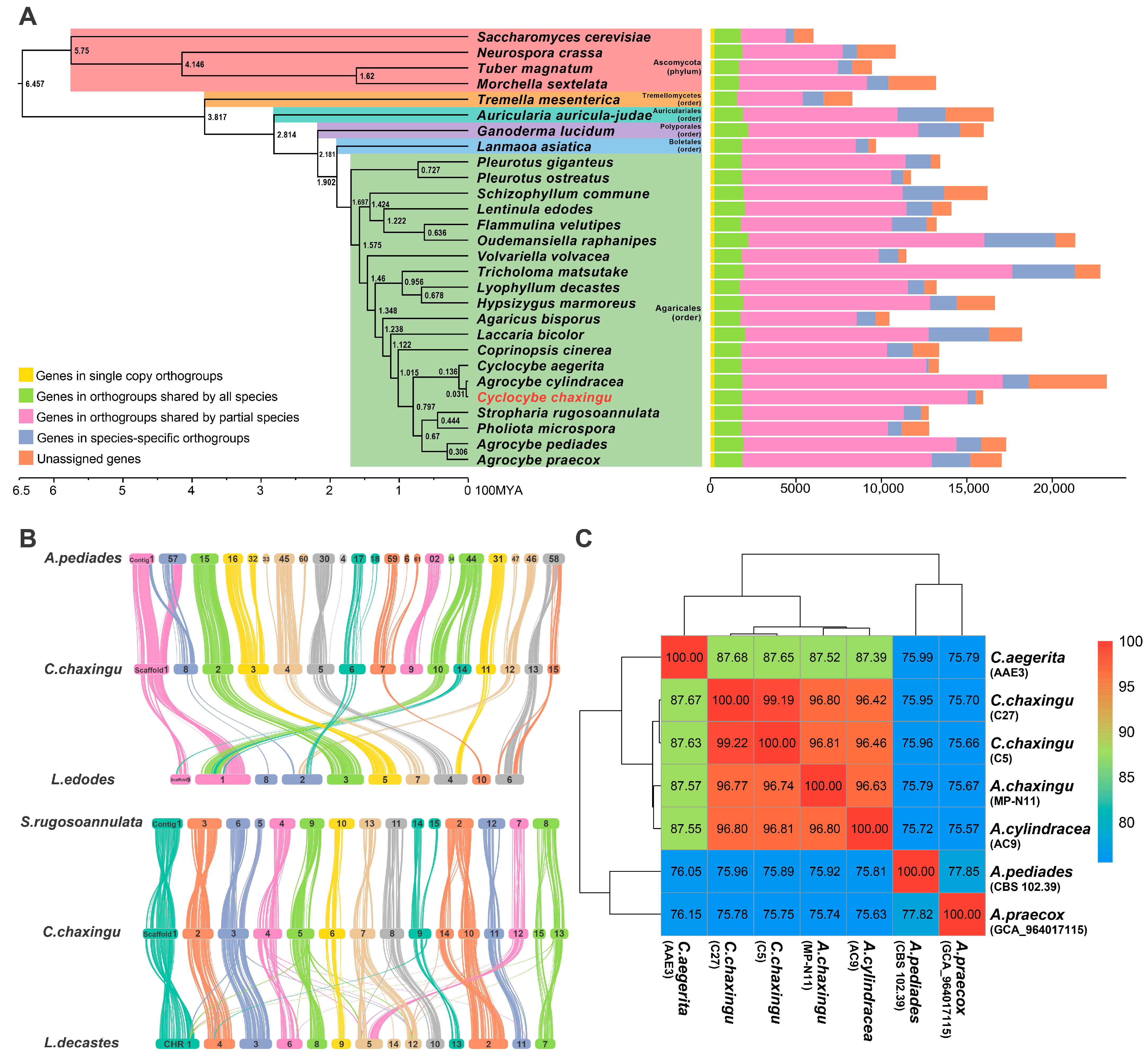 Horticulturae 11 00409 g003