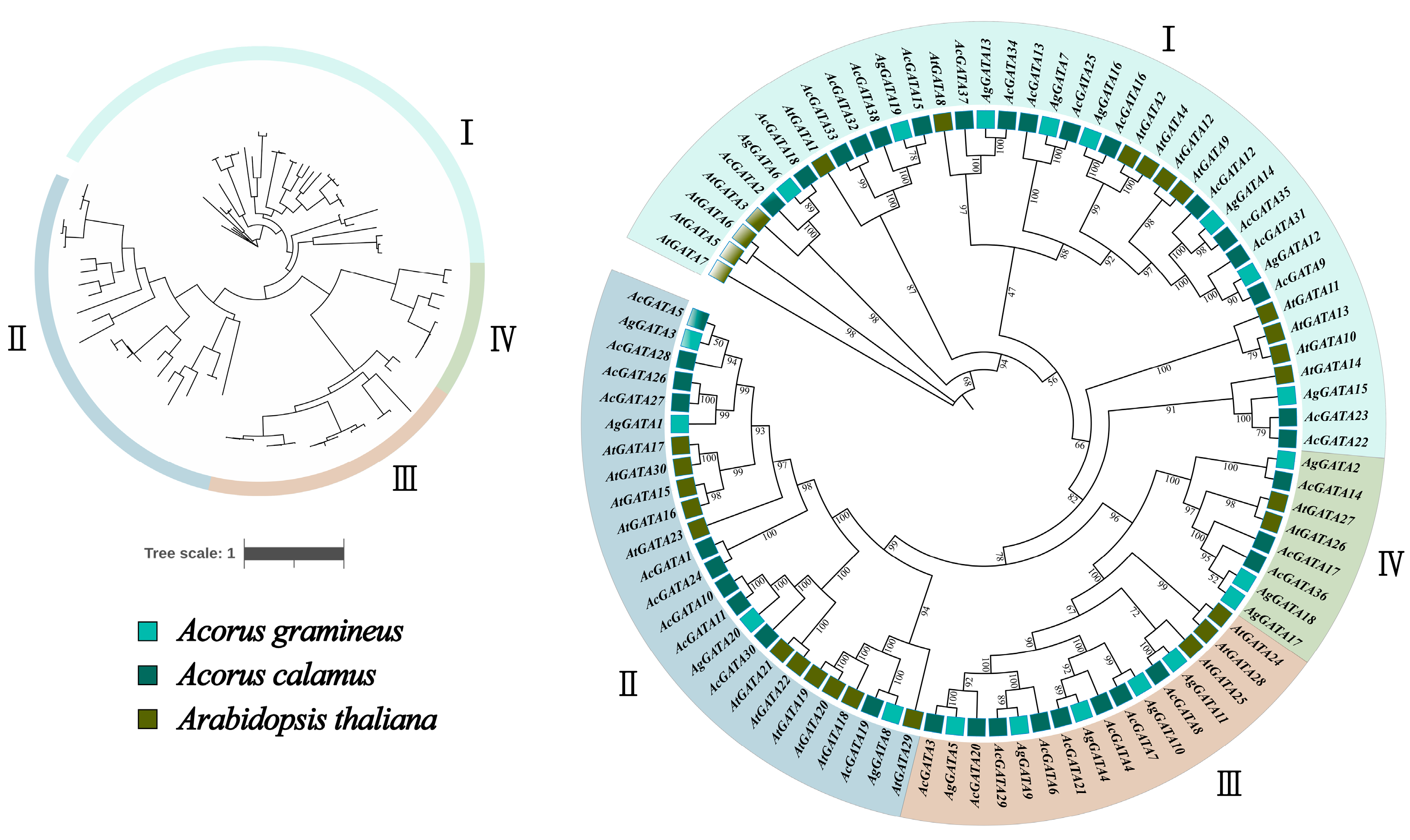 Horticulturae 11 00410 g001