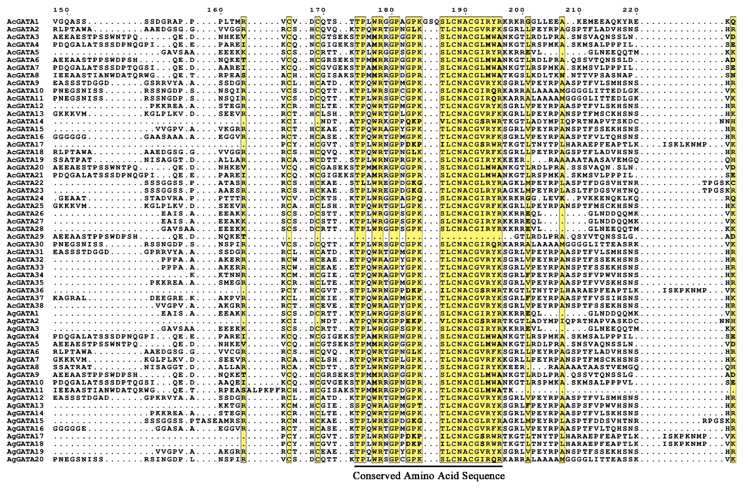 Horticulturae 11 00410 g003