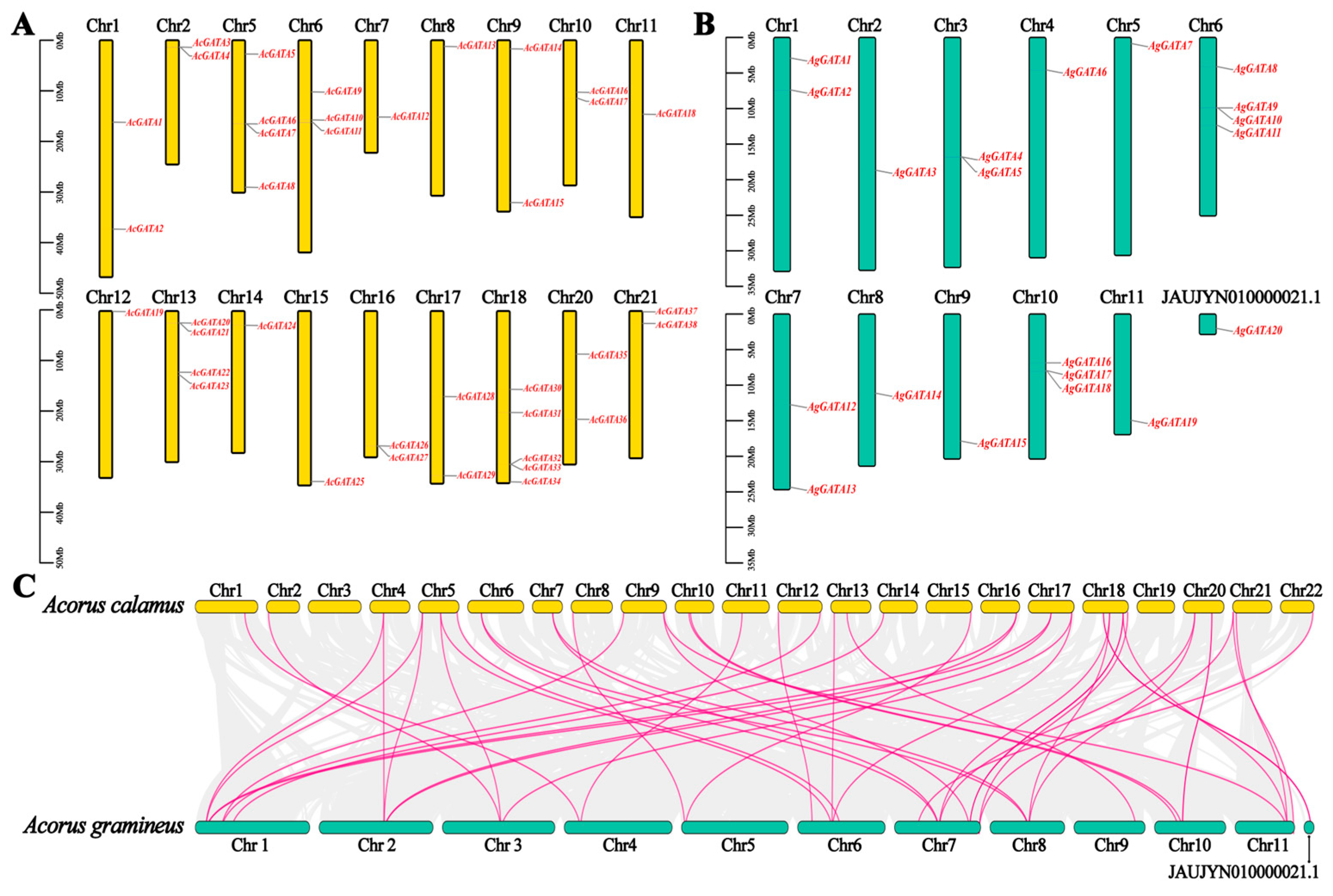 Horticulturae 11 00410 g004