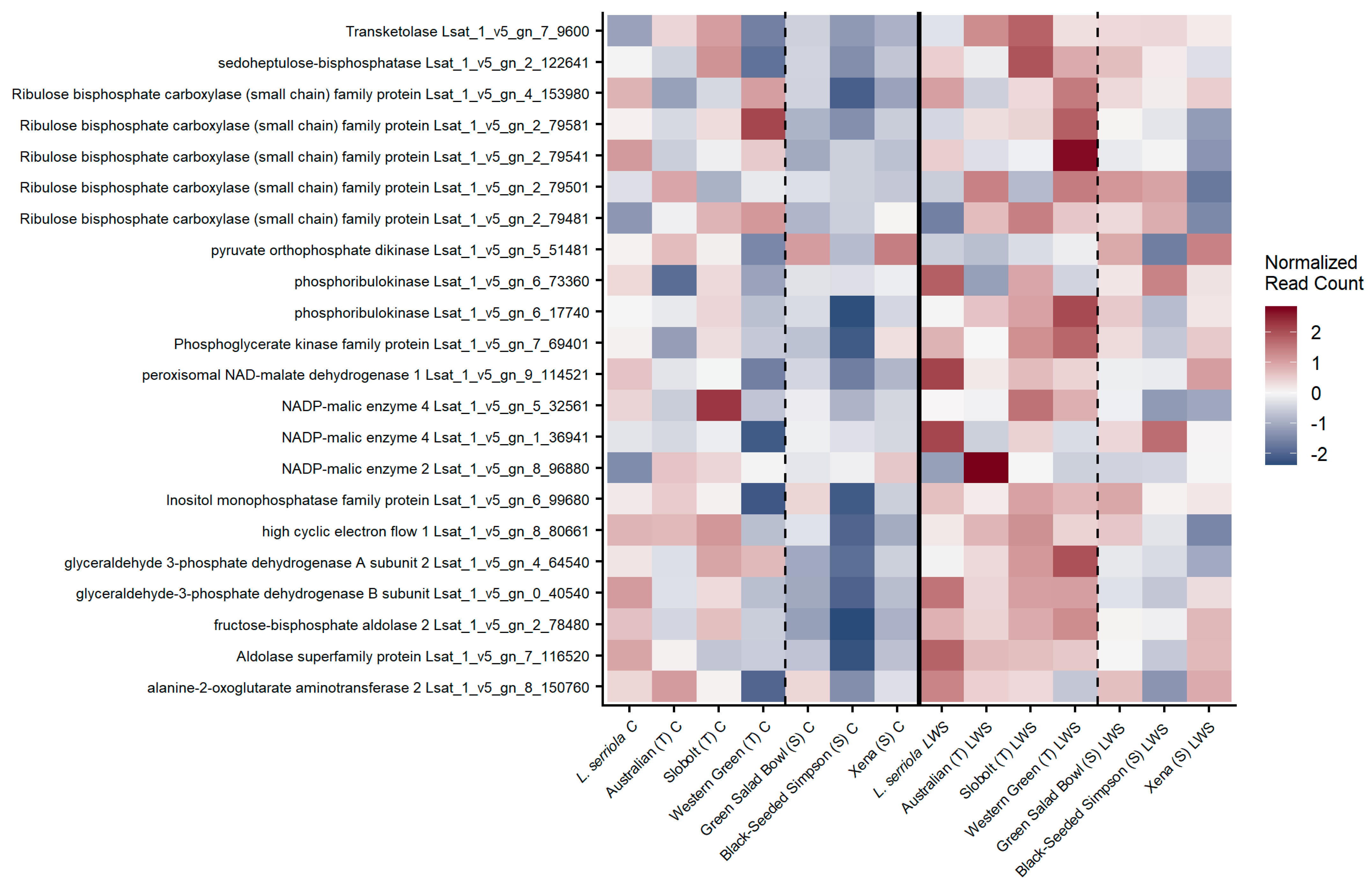 Horticulturae 11 00414 g004