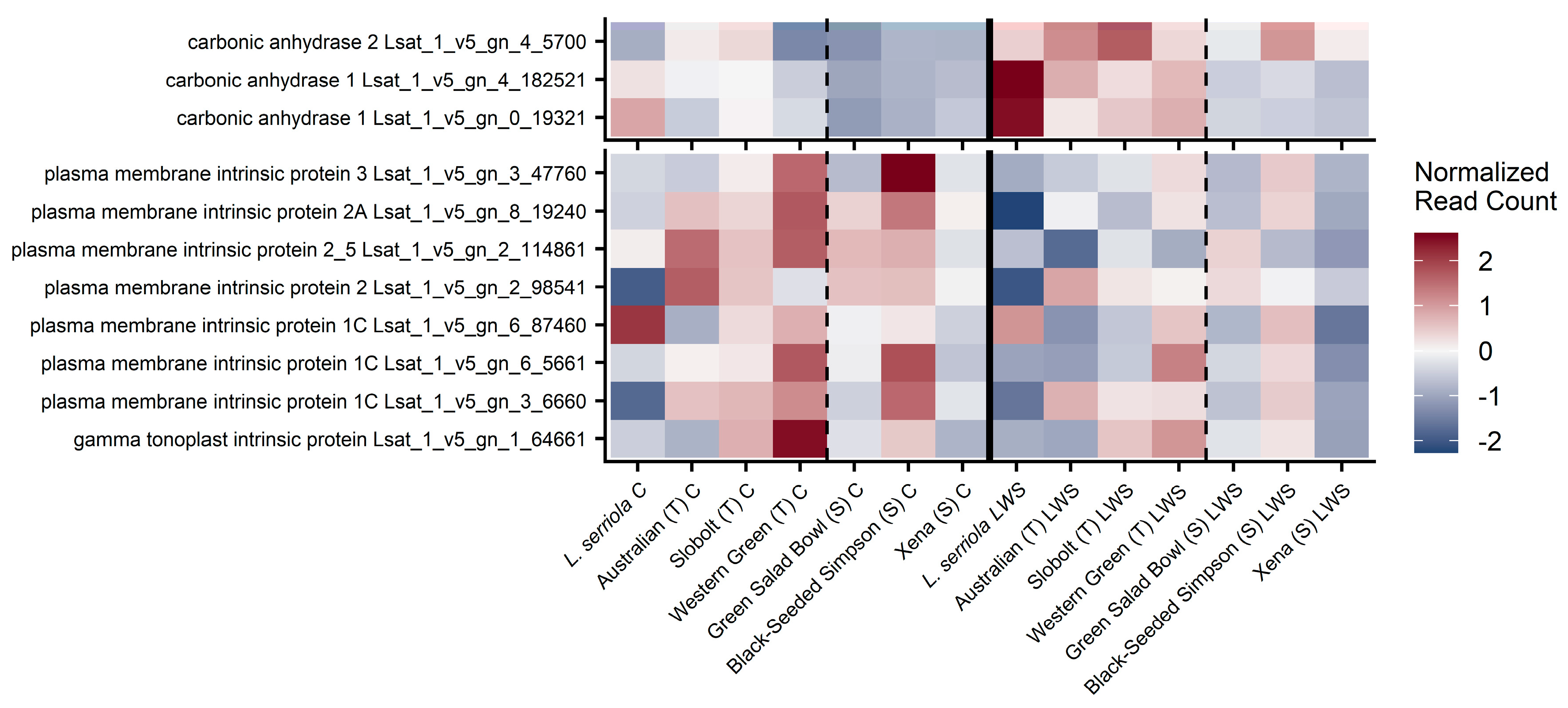 Horticulturae 11 00414 g005