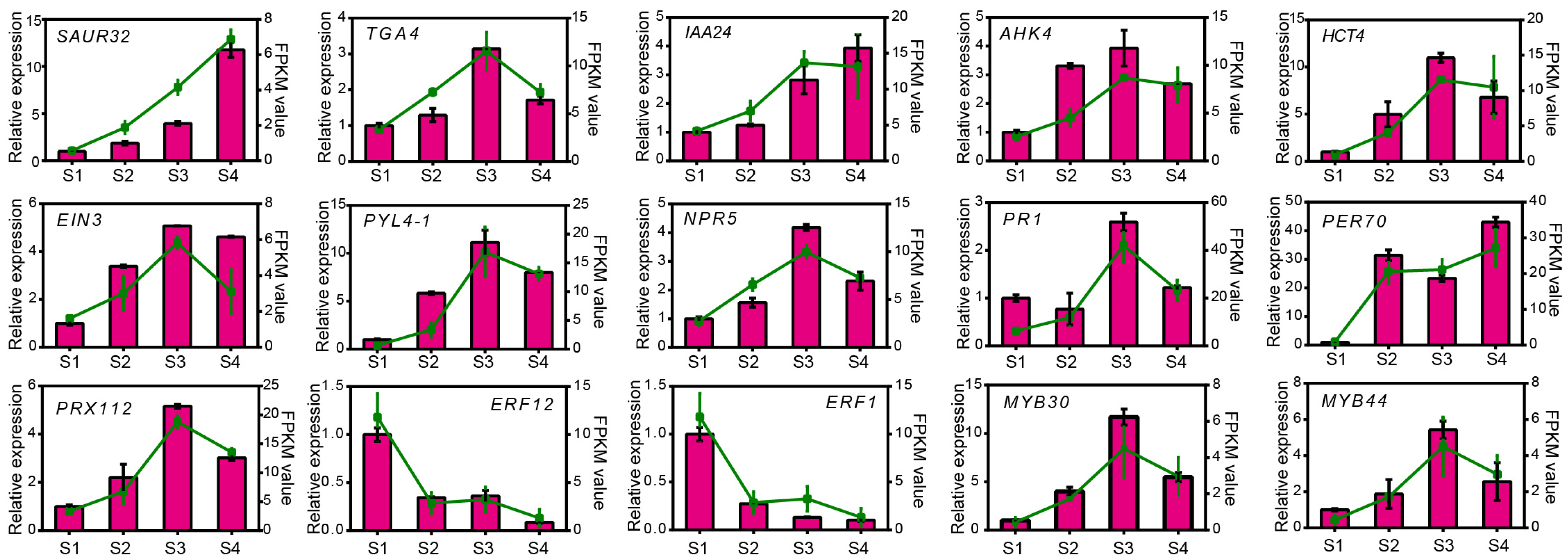 Horticulturae 11 00430 g006