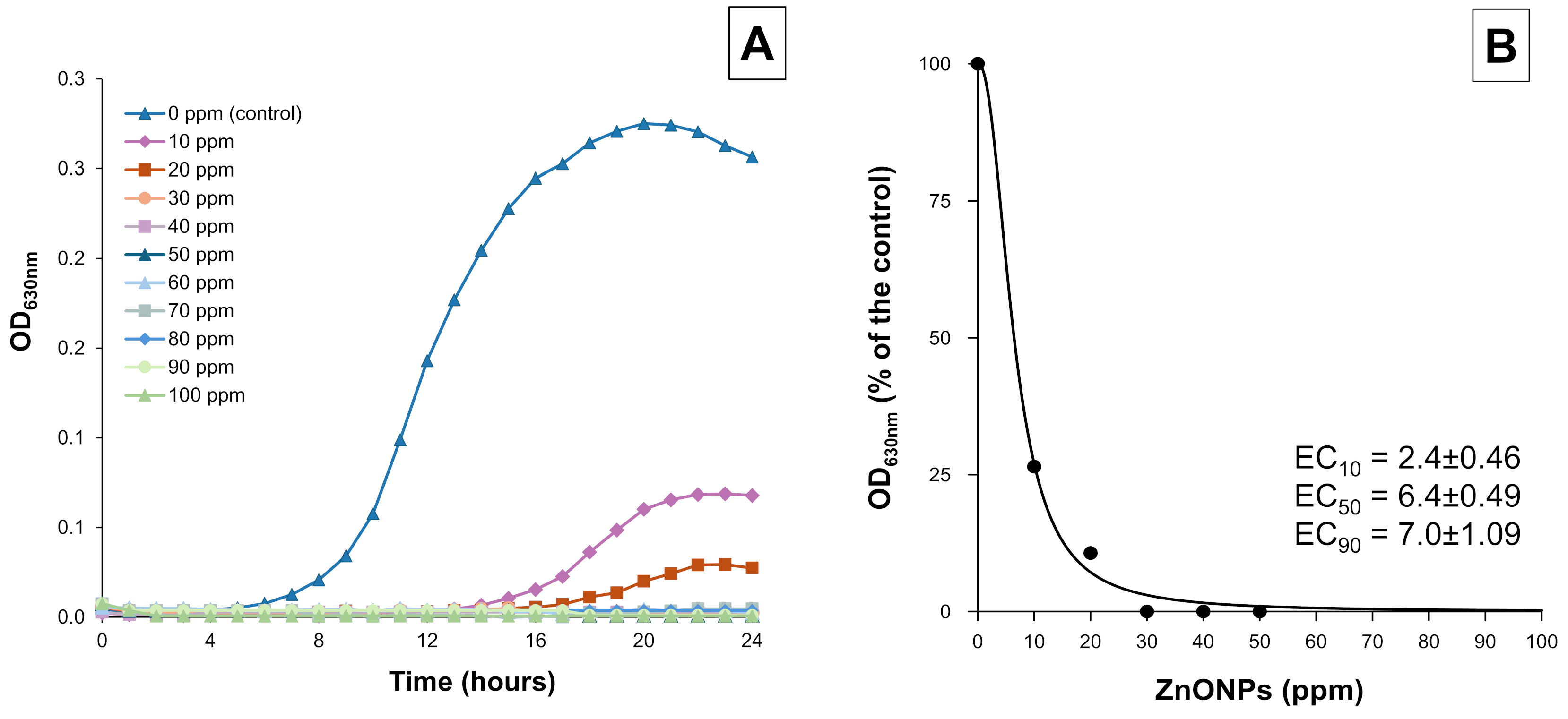 Horticulturae 11 00431 g001