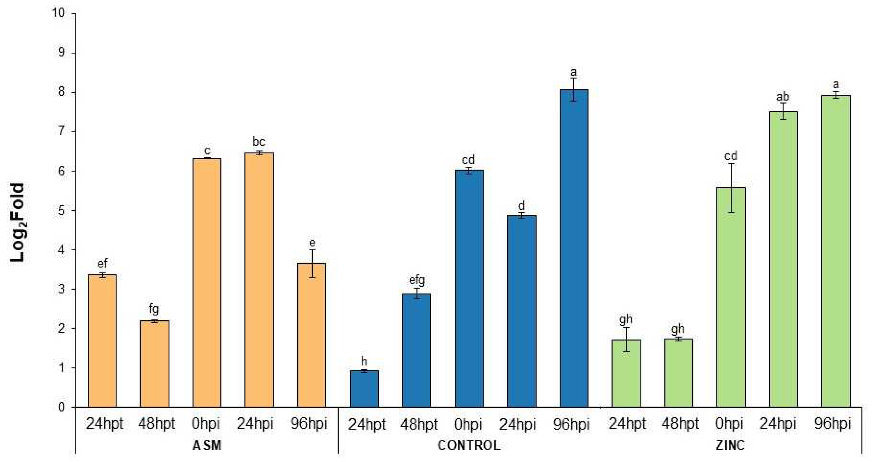 Horticulturae 11 00431 g004