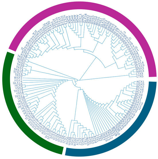 Development of SNP Markers and Core Collection Construction