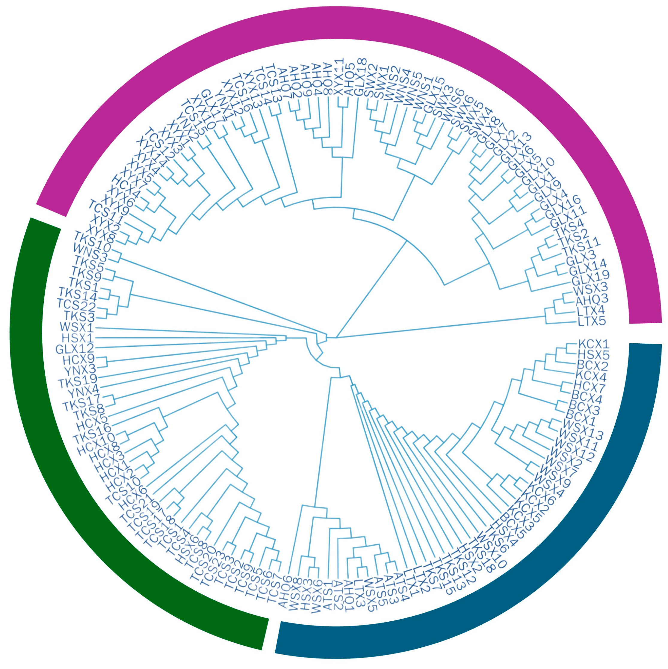 Horticulturae 11 00434 g002