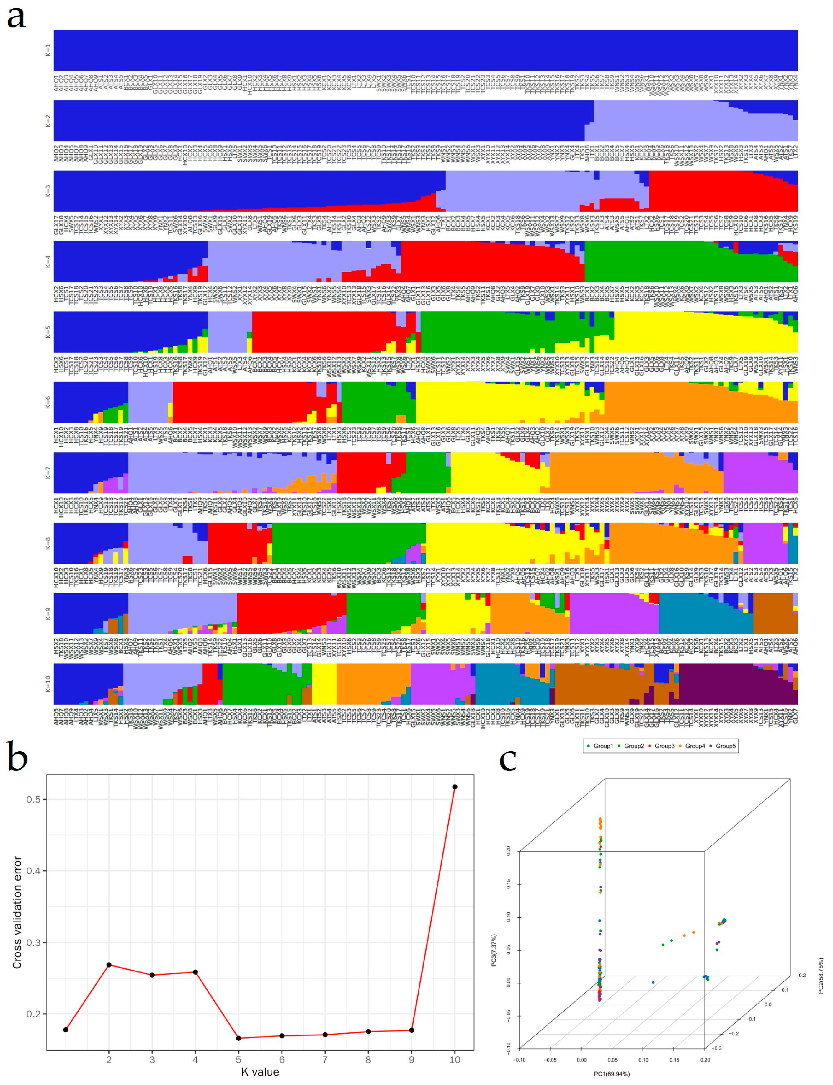 Development of SNP Markers and Core Collection Construction