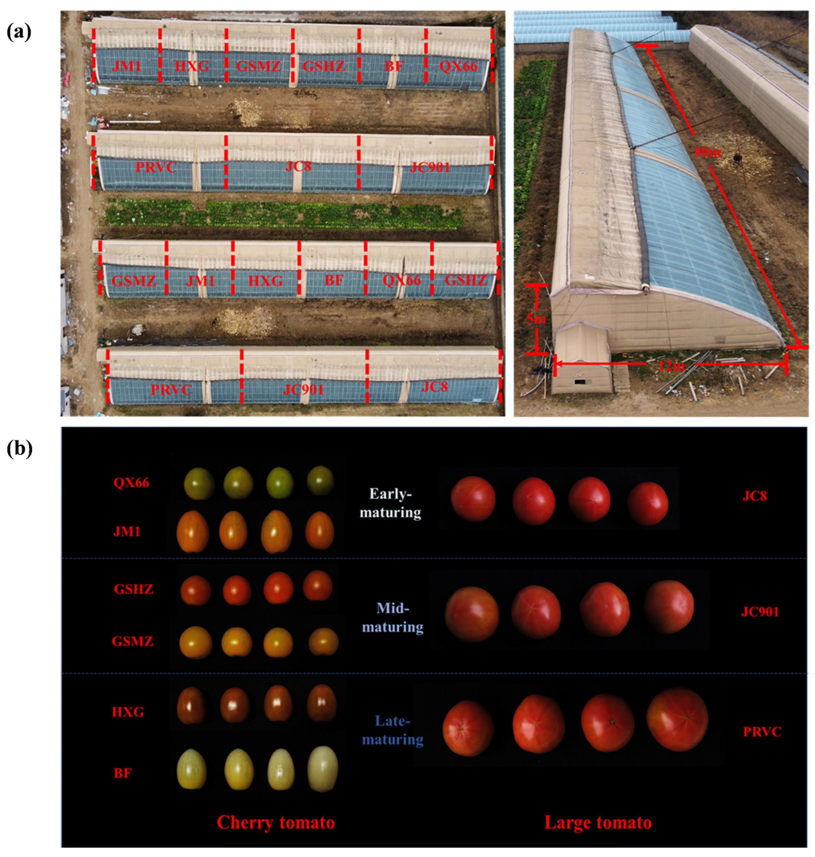 When Tomatoes Hit the Winter: A Counterattack to Overwinter