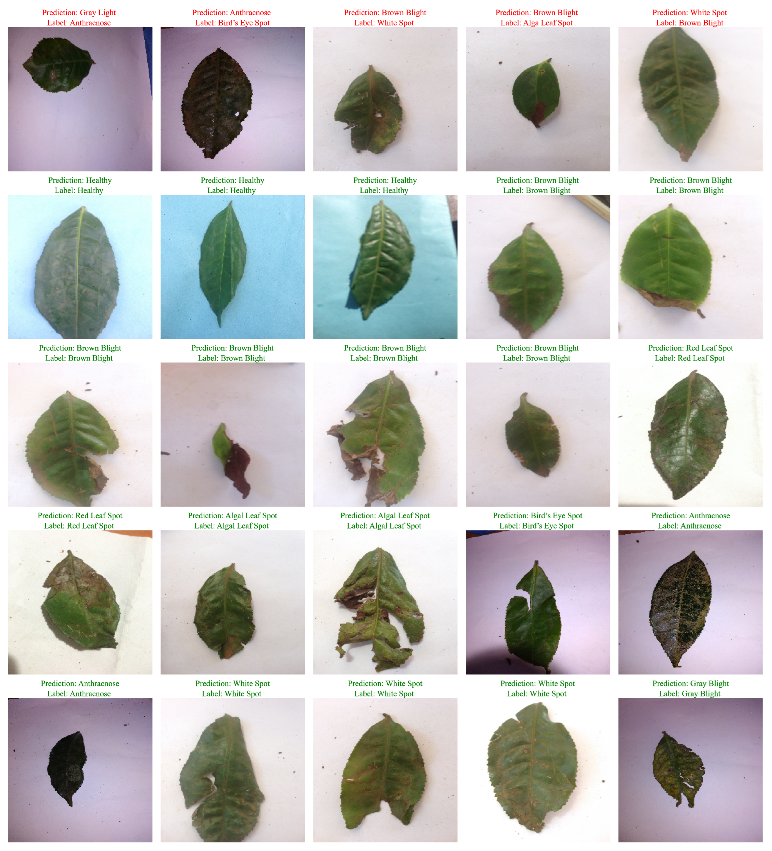 Horticulturae 11 00437 g006