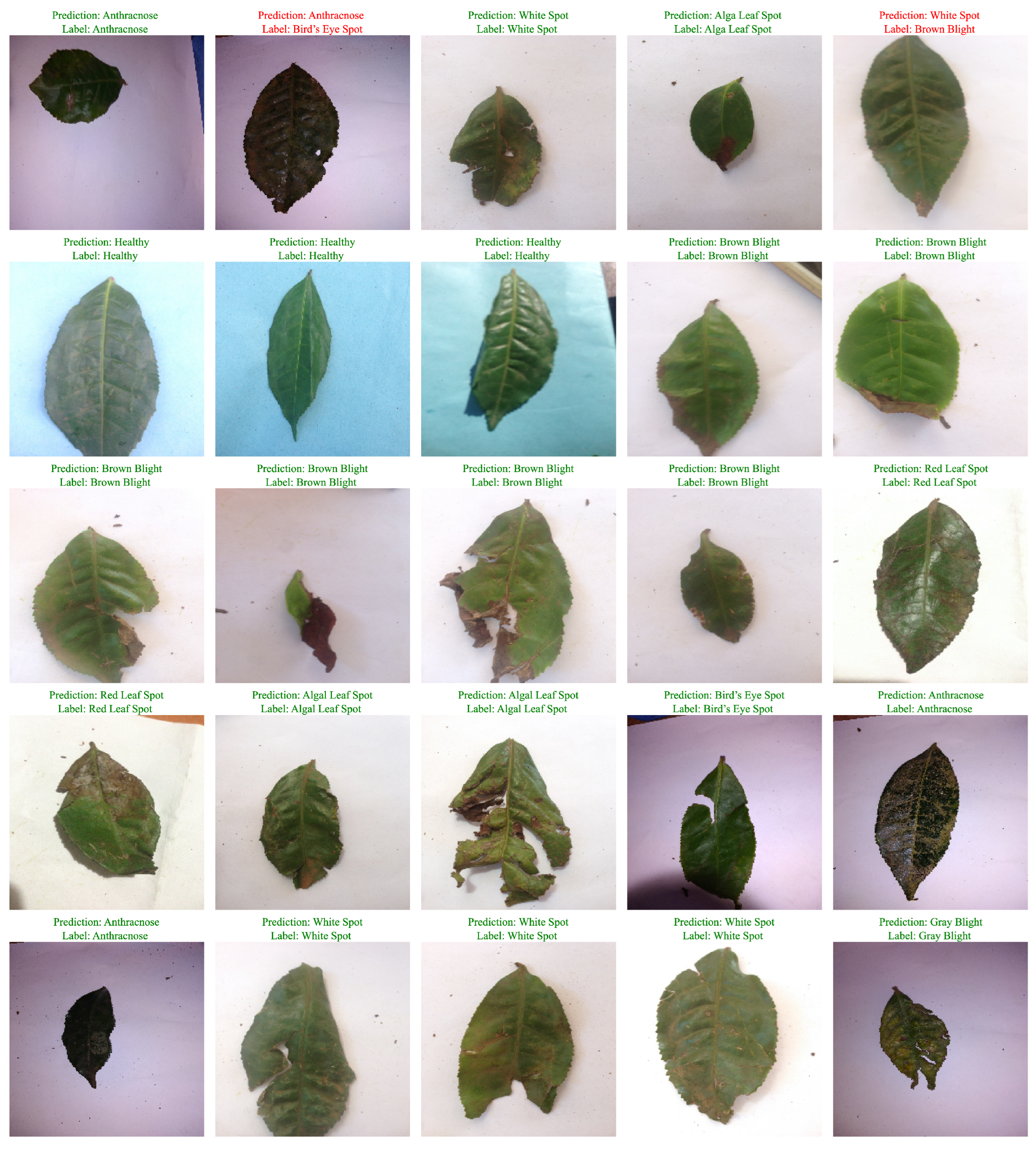 Horticulturae 11 00437 g007