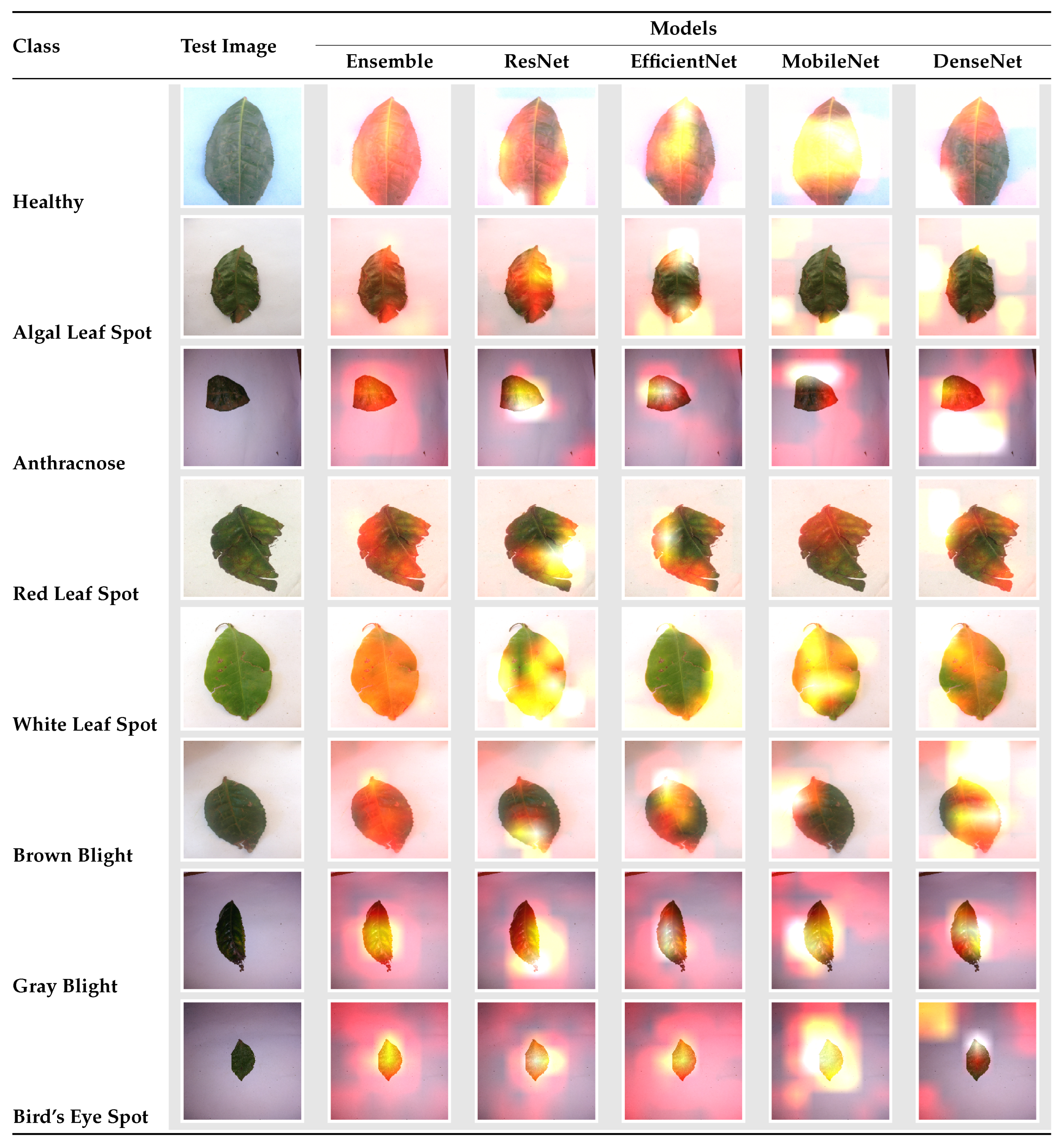 Horticulturae 11 00437 g008