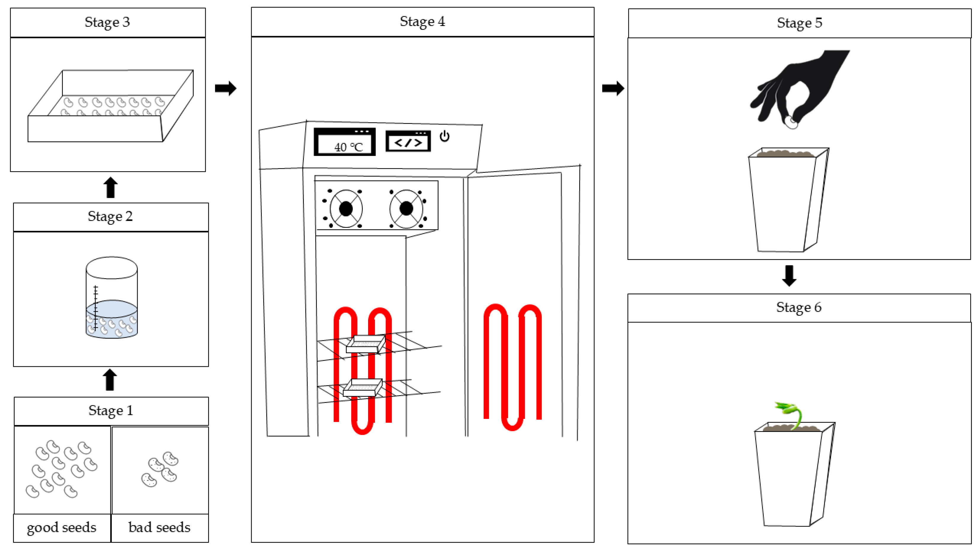 Horticulturae 11 00438 g001