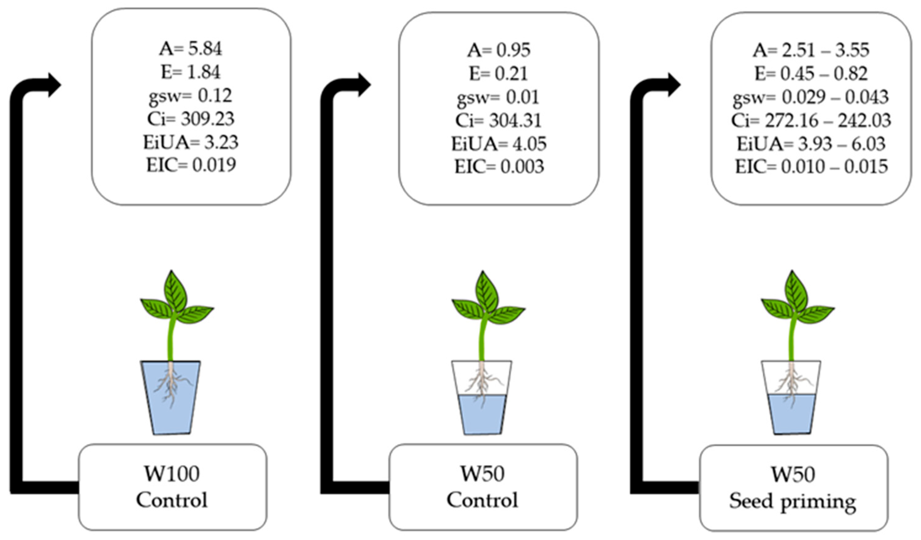 Horticulturae 11 00438 g008