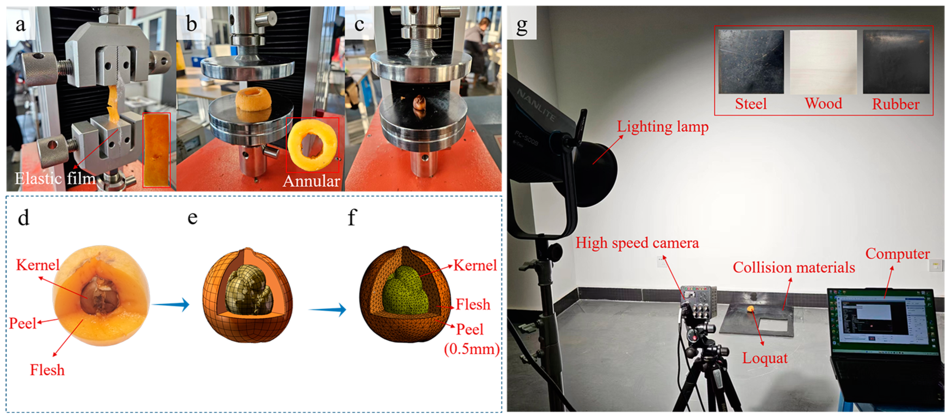Horticulturae 11 00440 g001