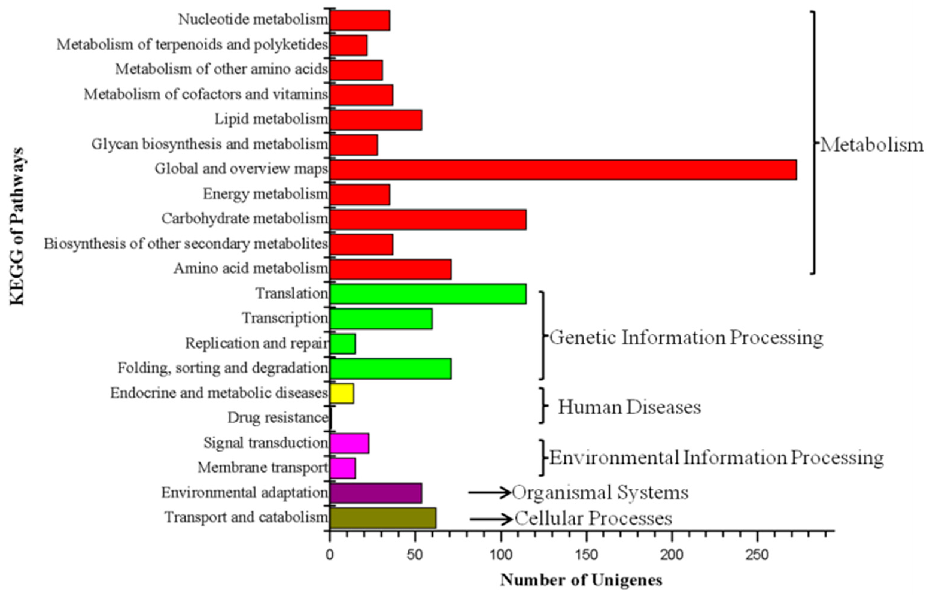 Horticulturae 11 00441 g003