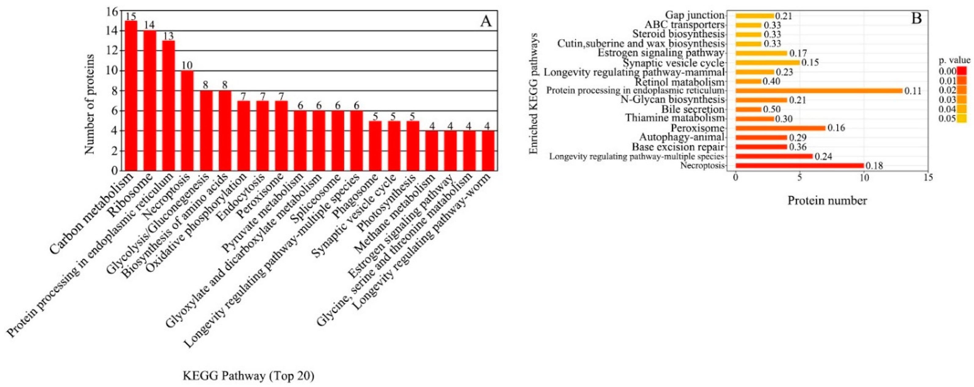 Horticulturae 11 00441 g005