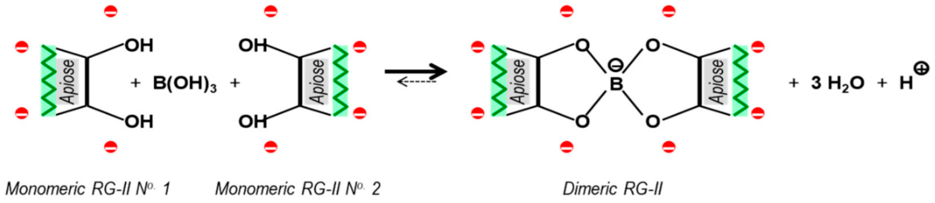 Horticulturae 11 00450 g001