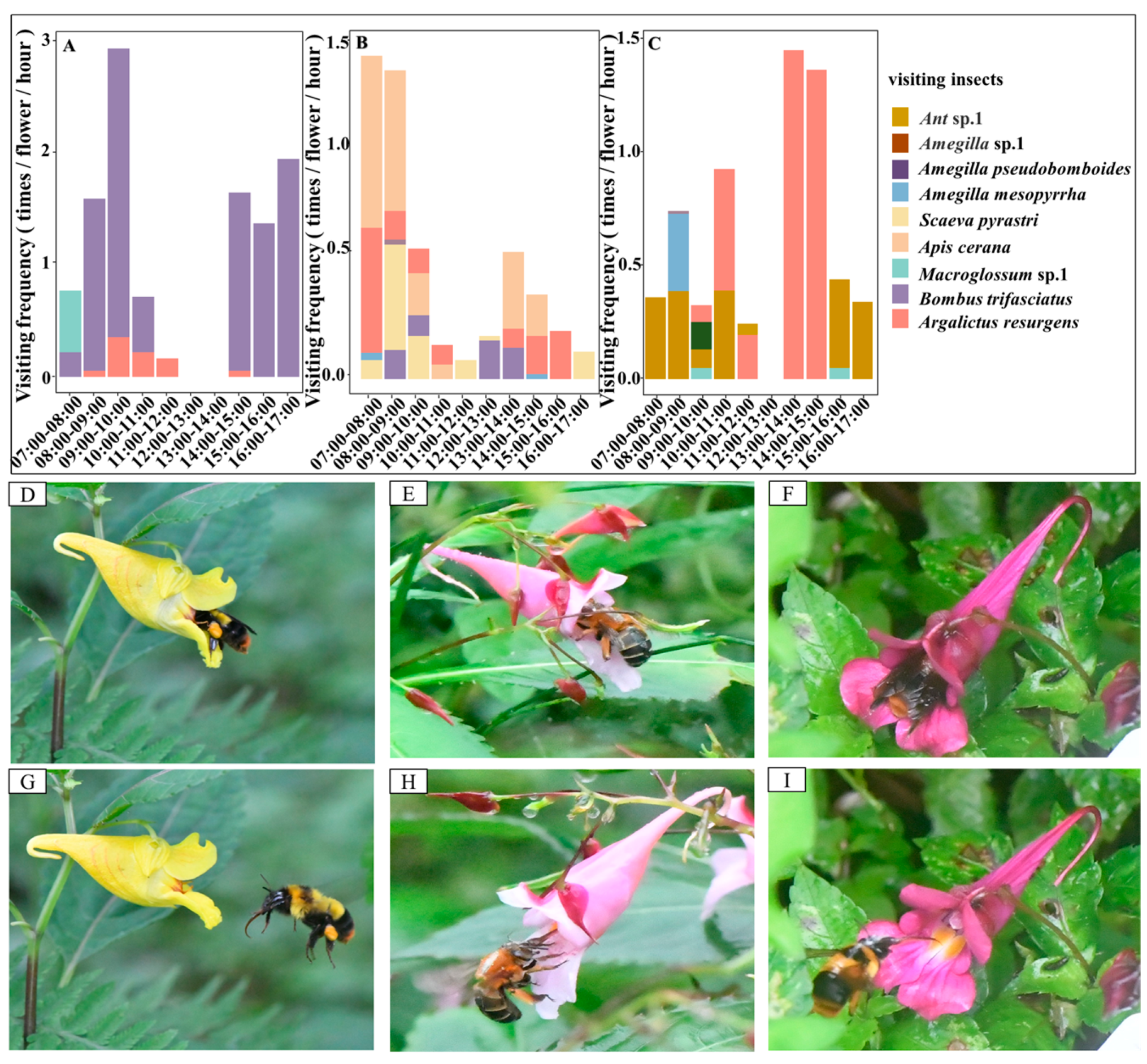 Horticulturae 11 00453 g004 Horticulturae 11 00453 g004