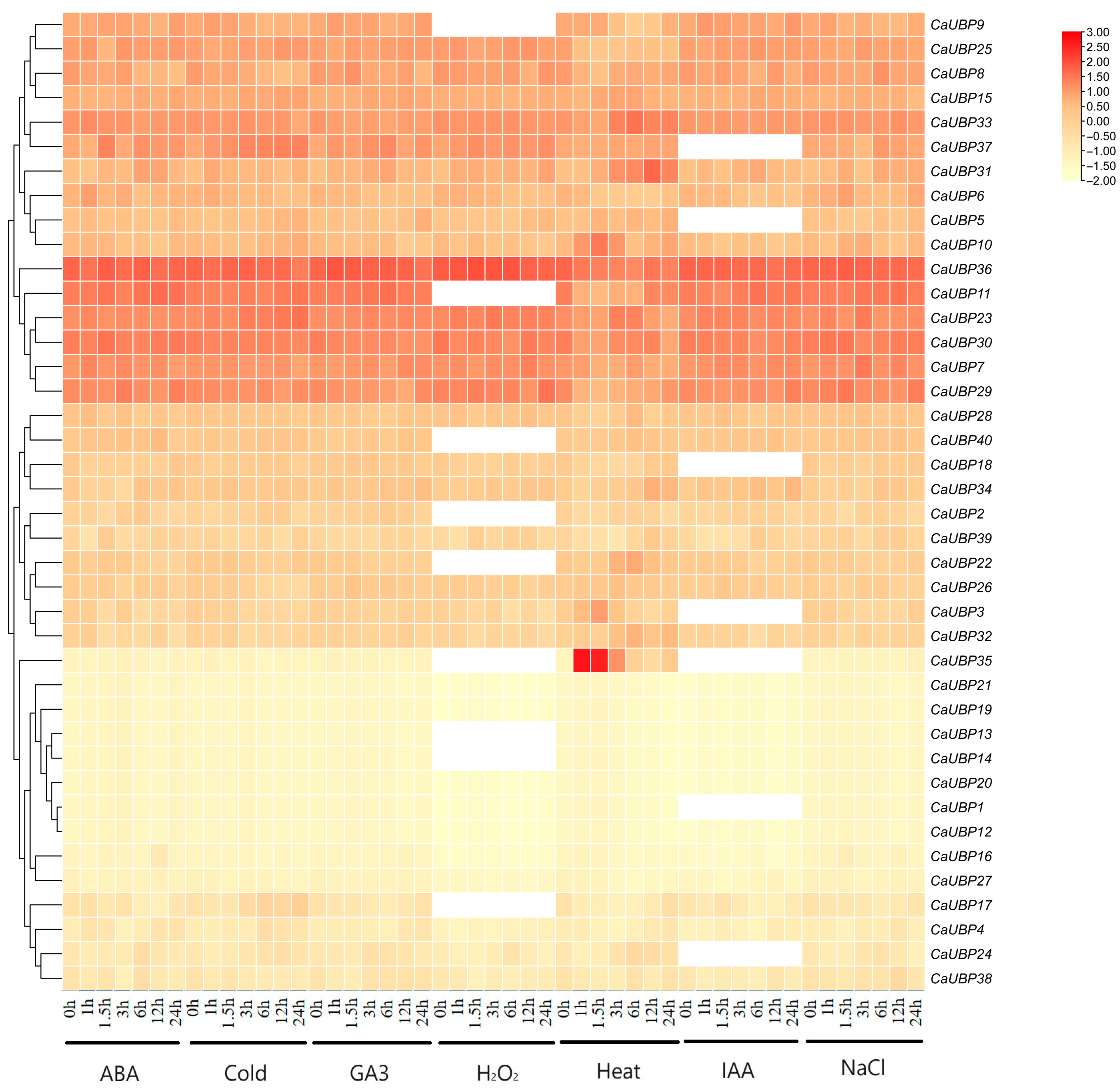 Horticulturae 11 00458 g009