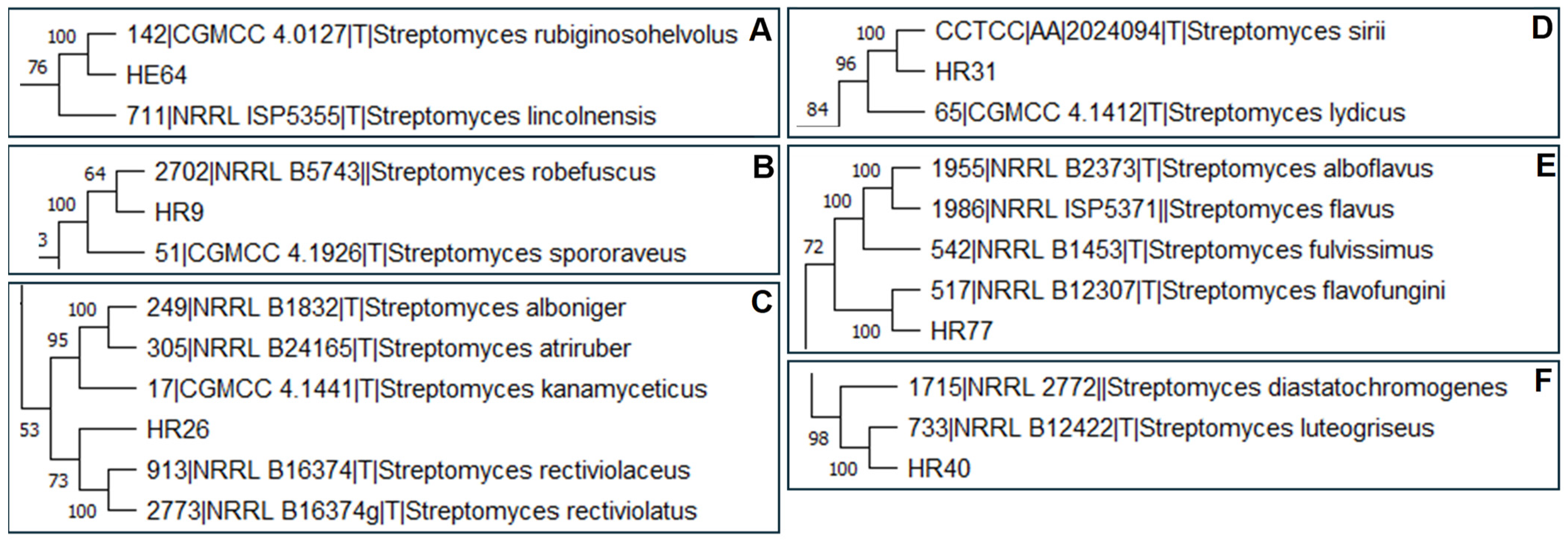 Horticulturae 11 00459 g002