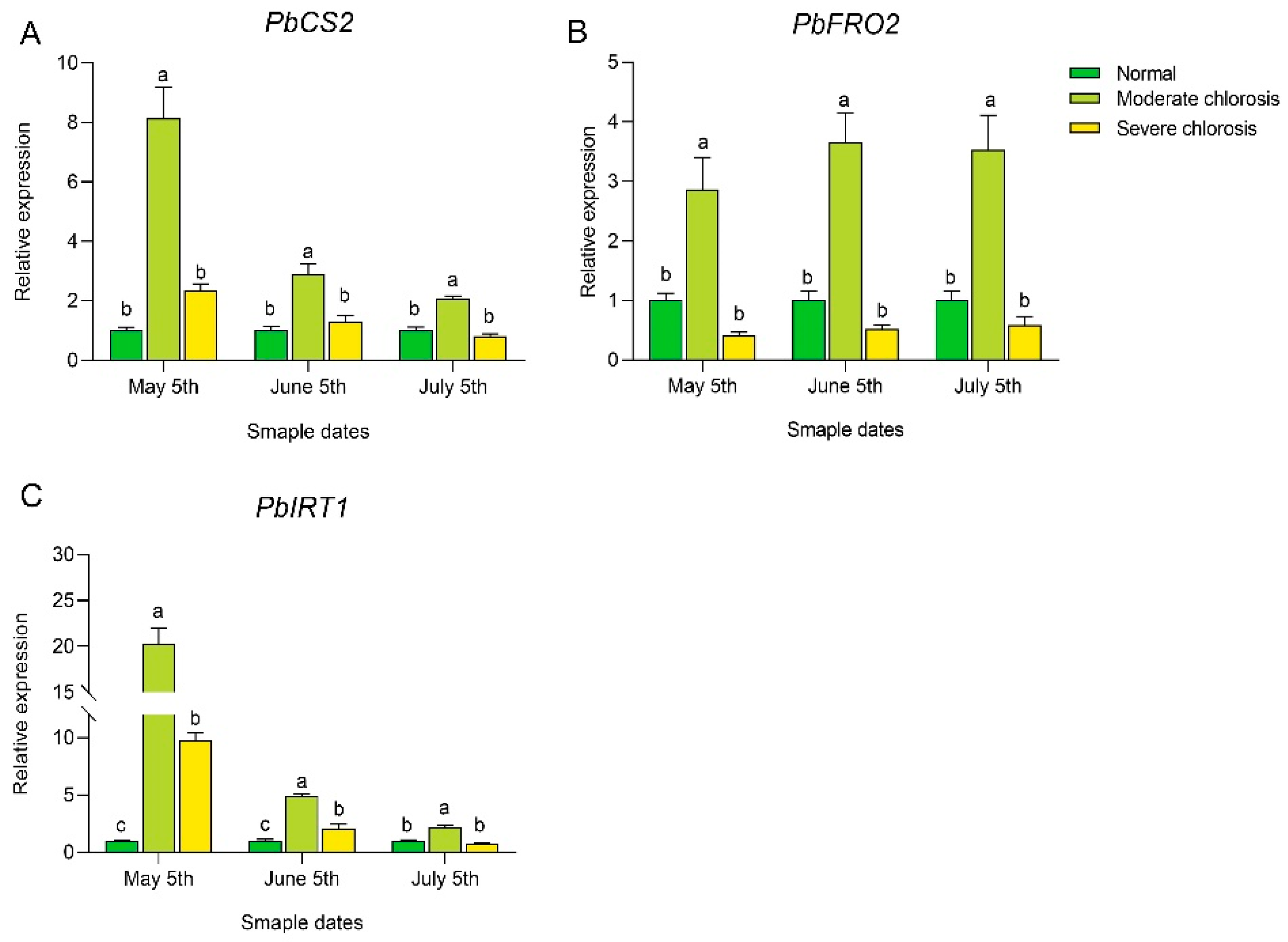 Horticulturae 11 00460 g006
