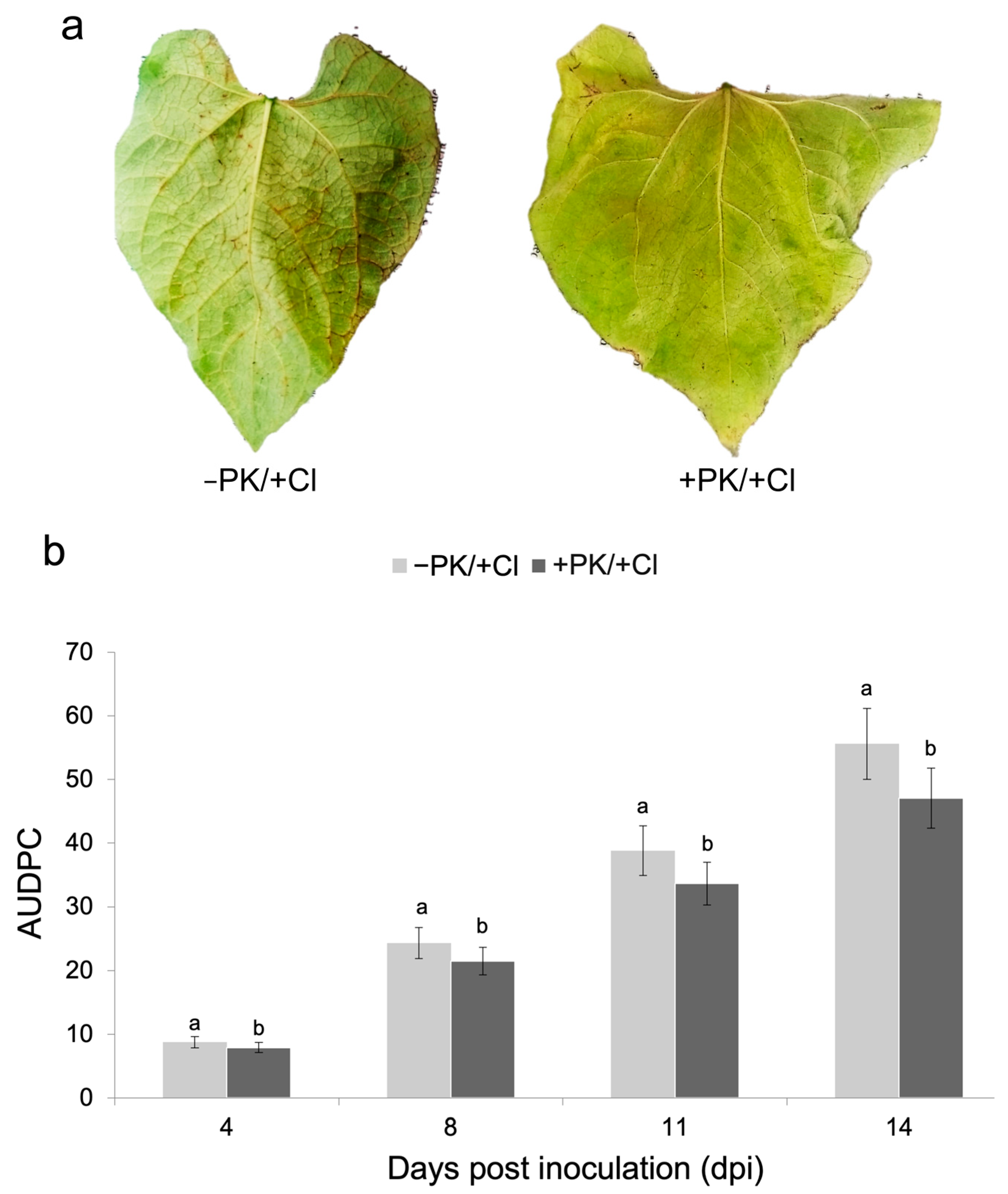 Horticulturae 11 00462 g003