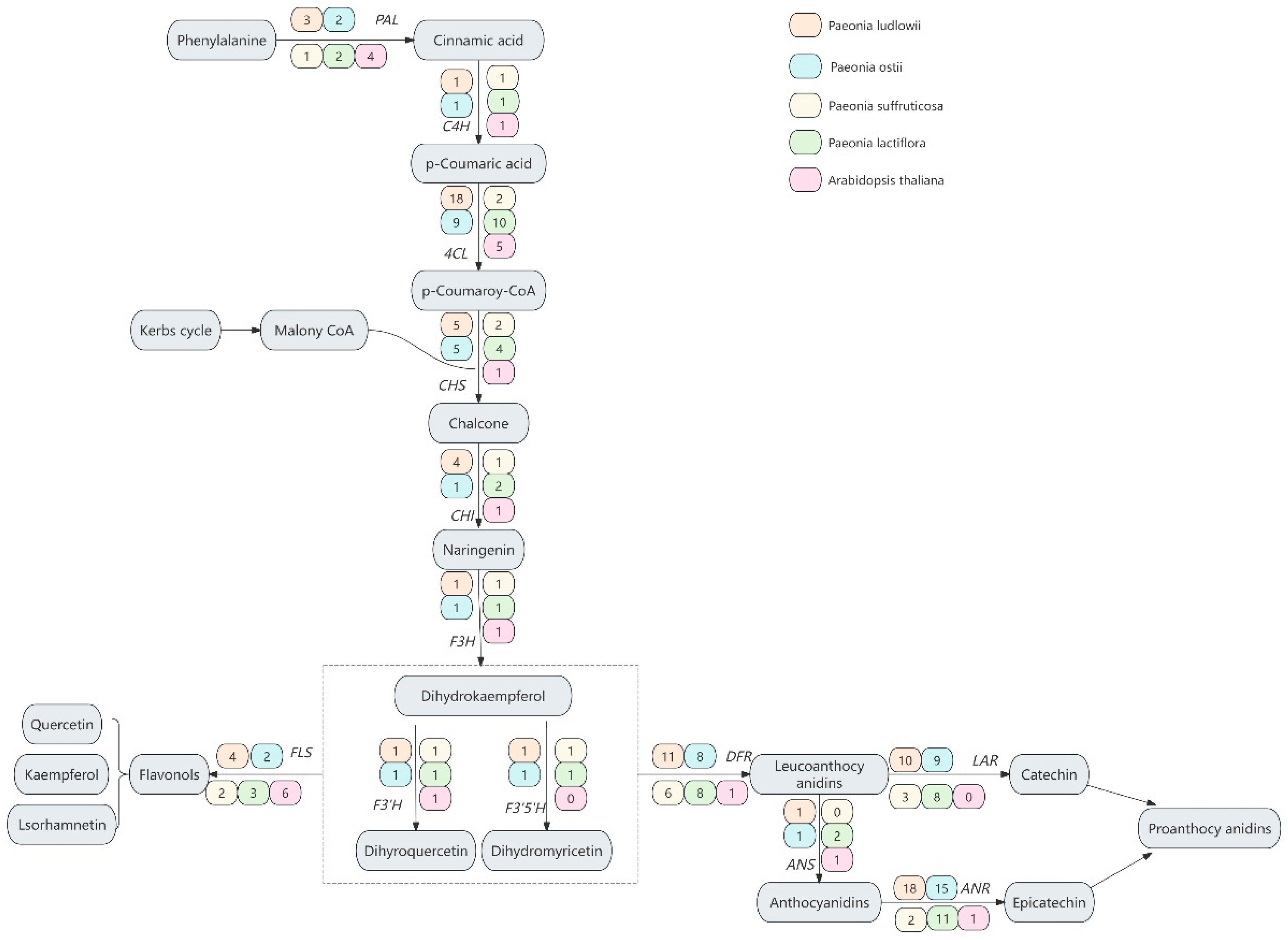 Horticulturae 11 00463 g002