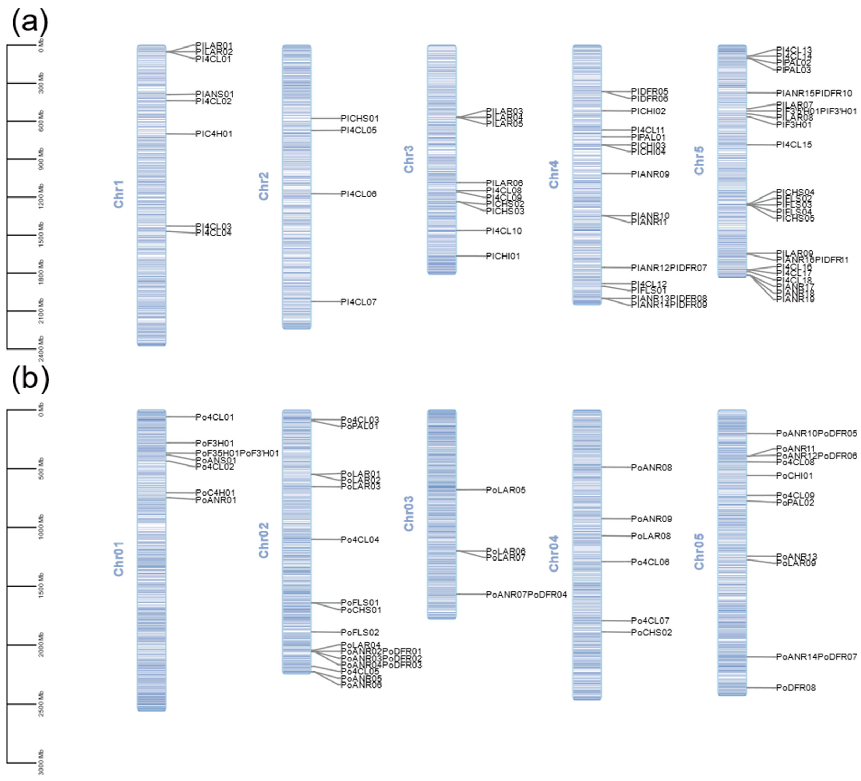 Horticulturae 11 00463 g003